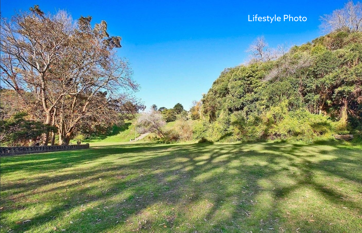 Image of grass