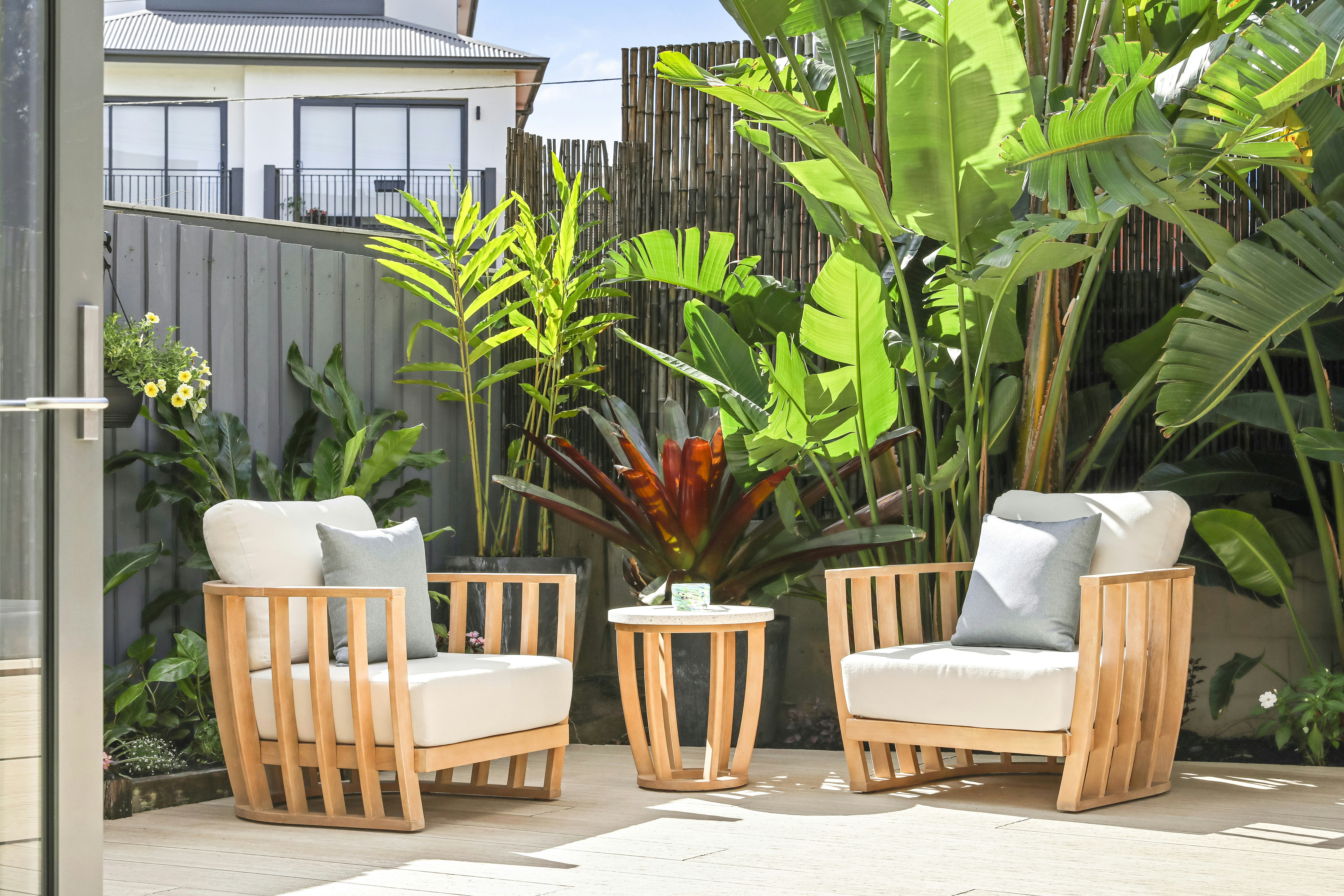 Image of backyard