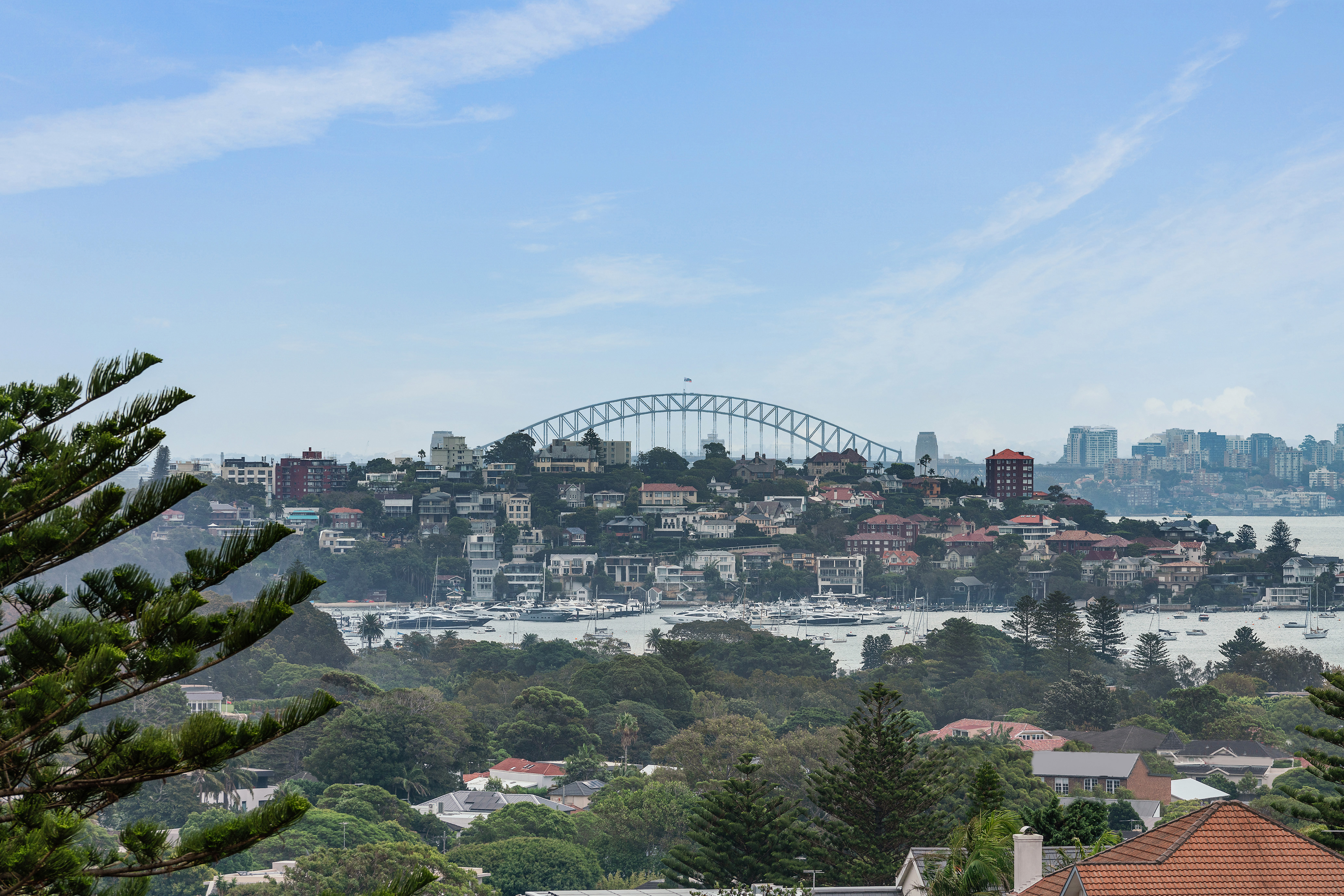 73 Hardy Street, Dover Heights - Thumbnail 6