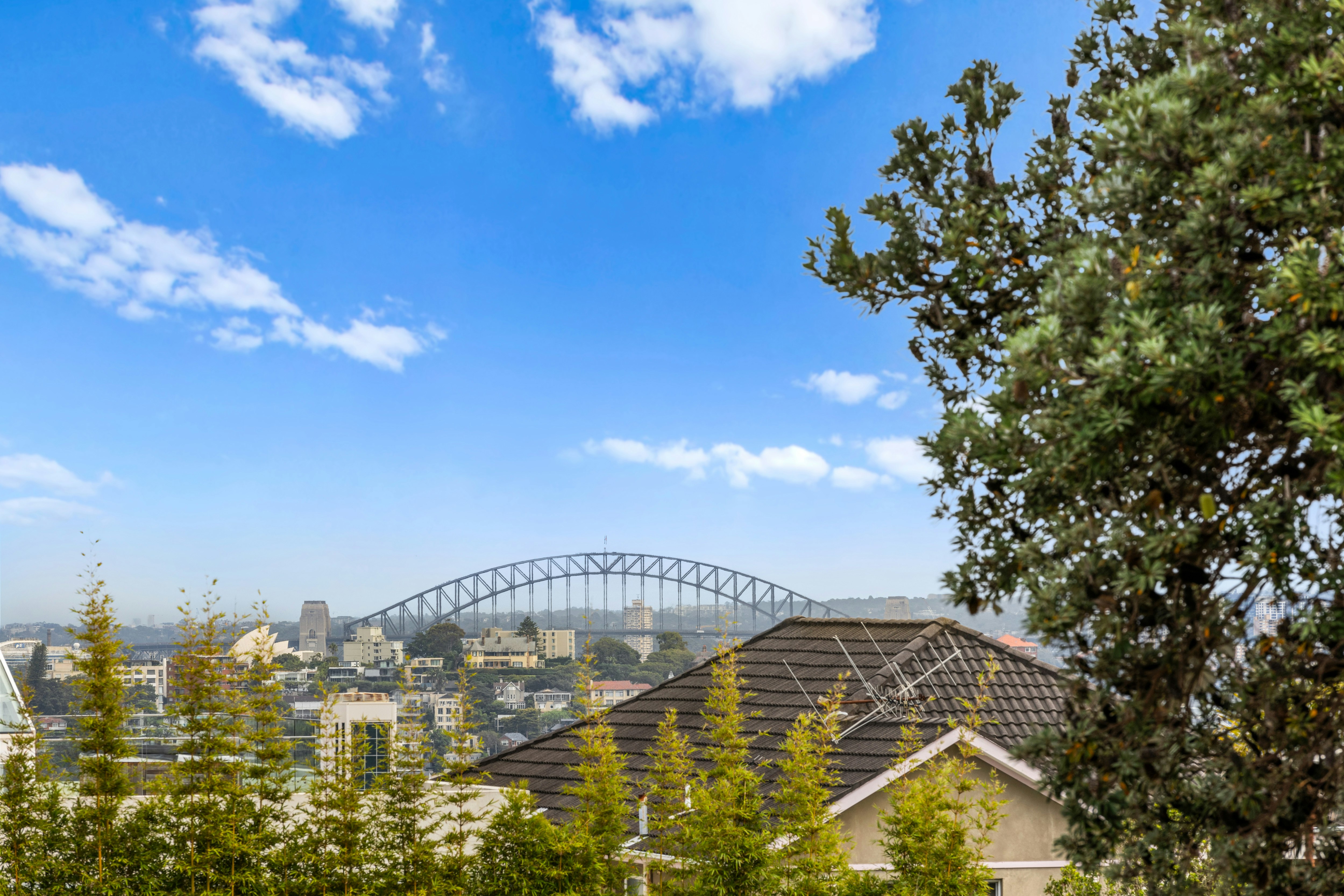 105B Military Road, Dover Heights NSW