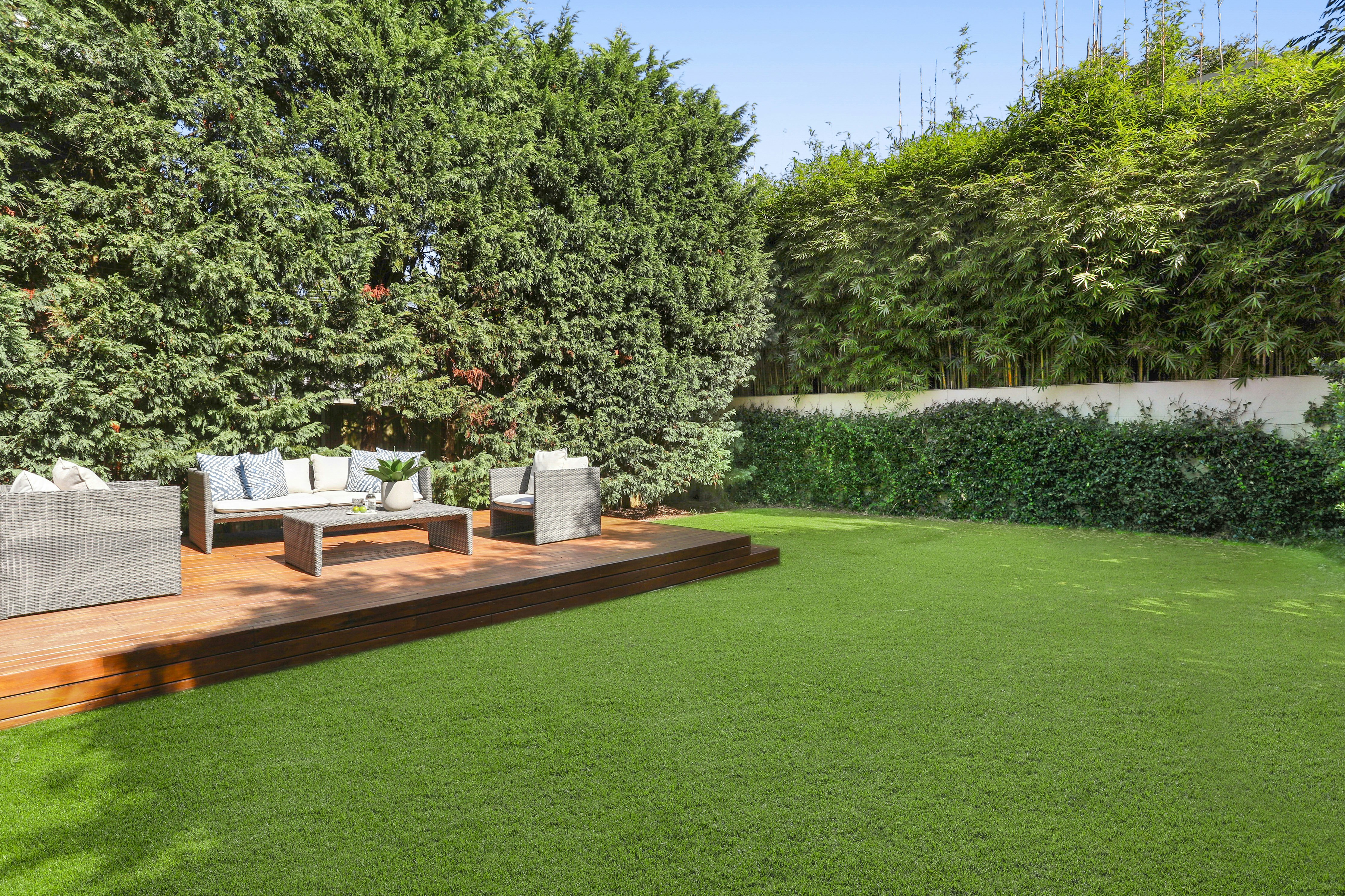 Image of grass