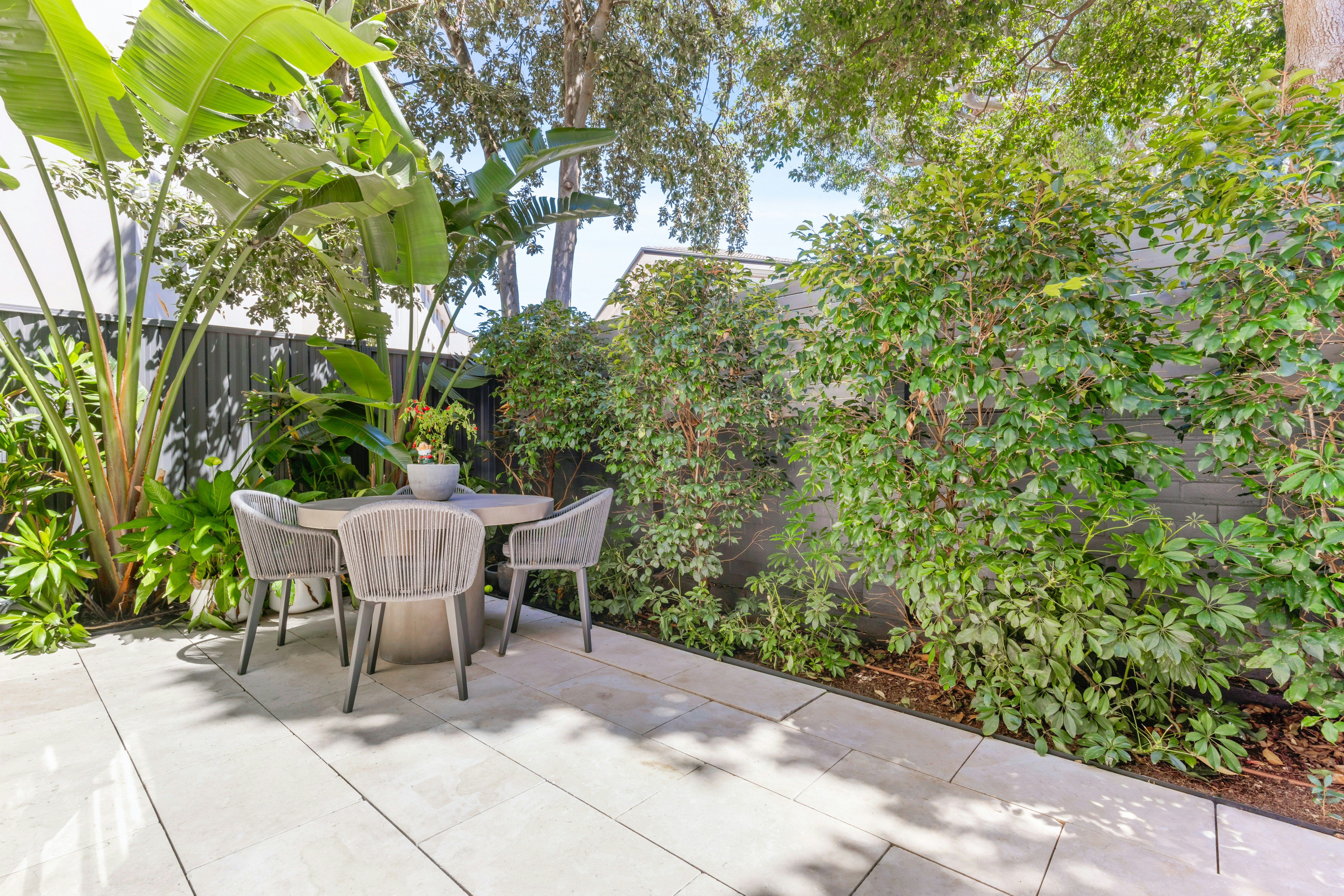6/151 Blair Street, North Bondi NSW