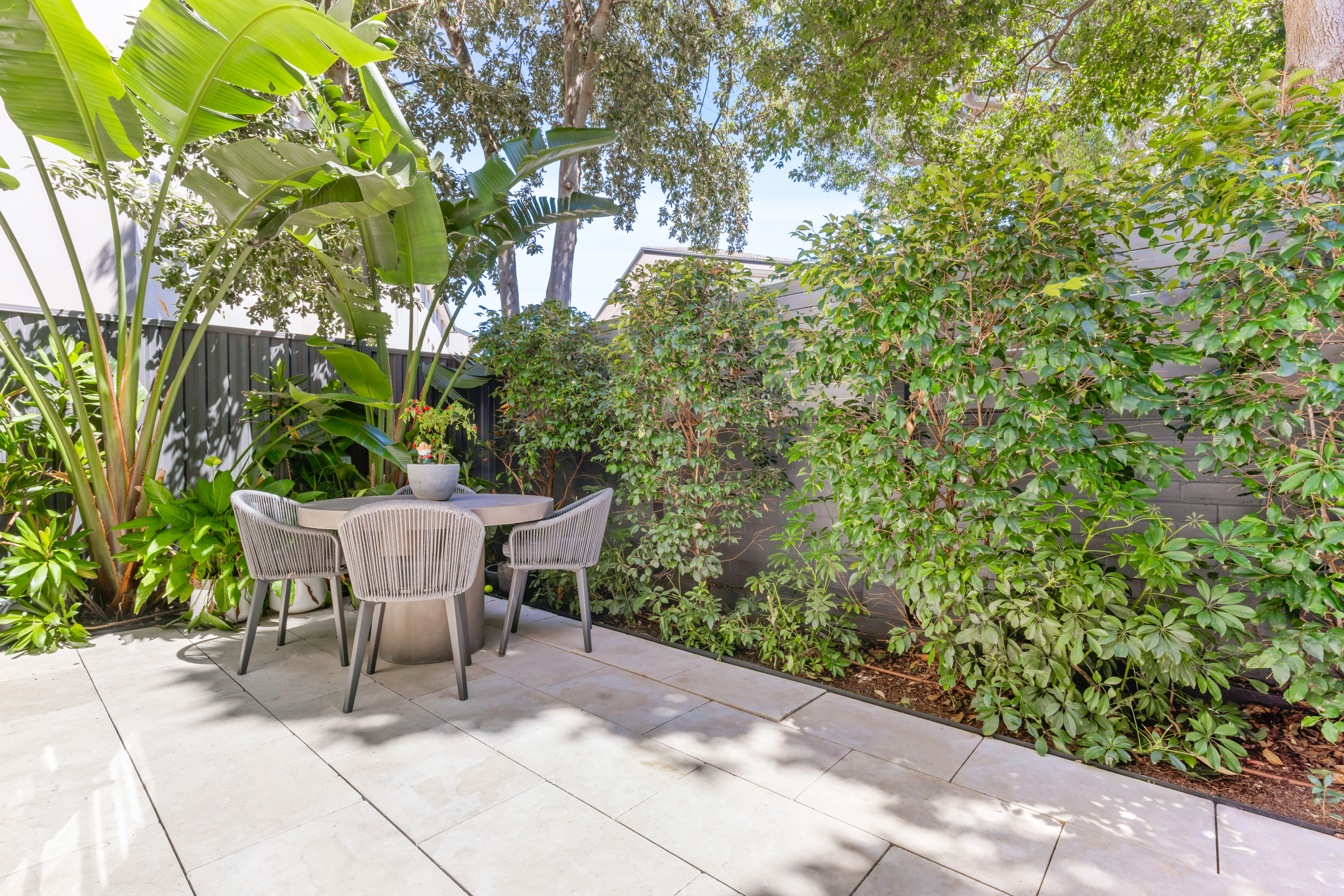 6/151 Blair Street, North Bondi - Thumbnail 3