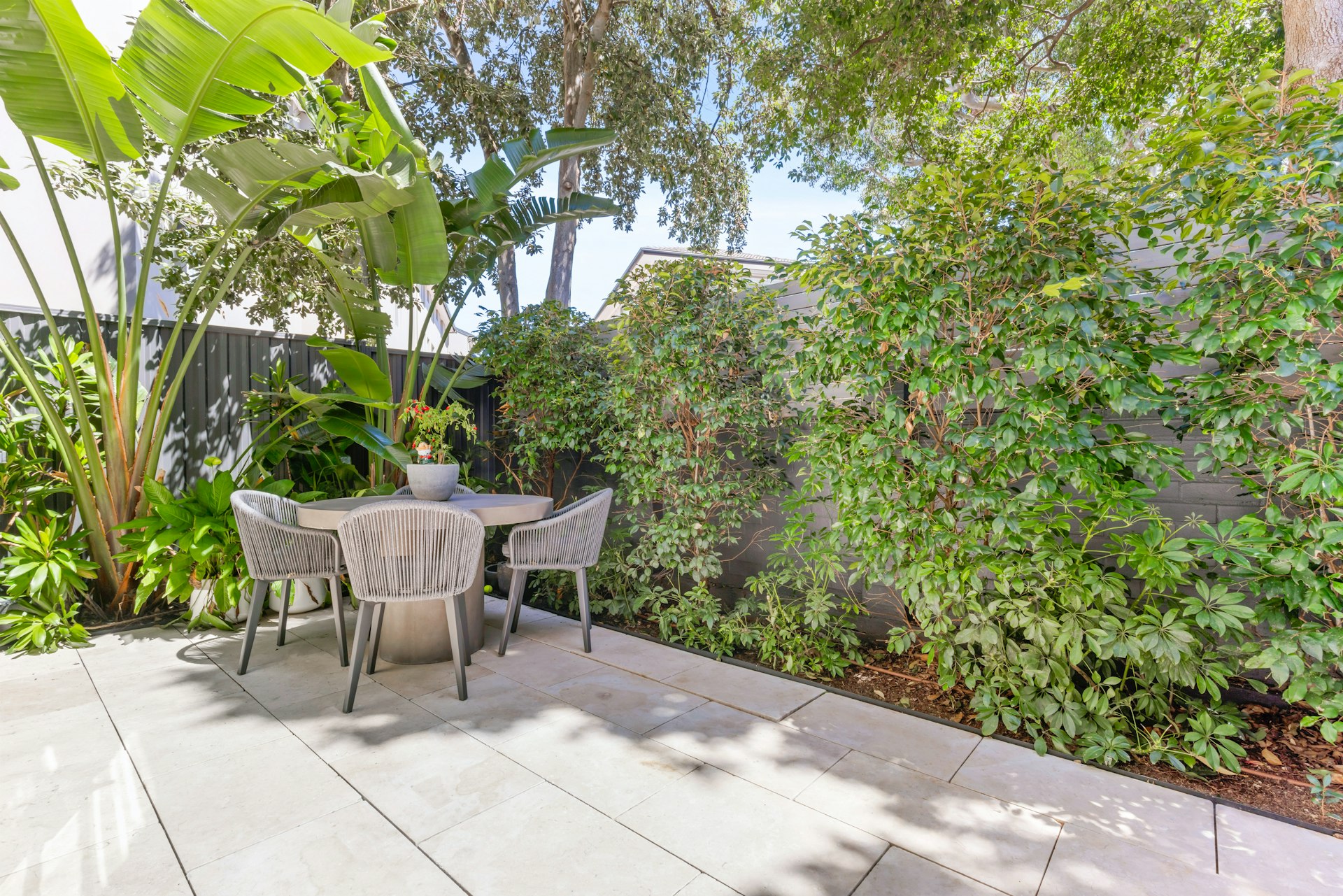 6/151 Blair Street, North Bondi NSW