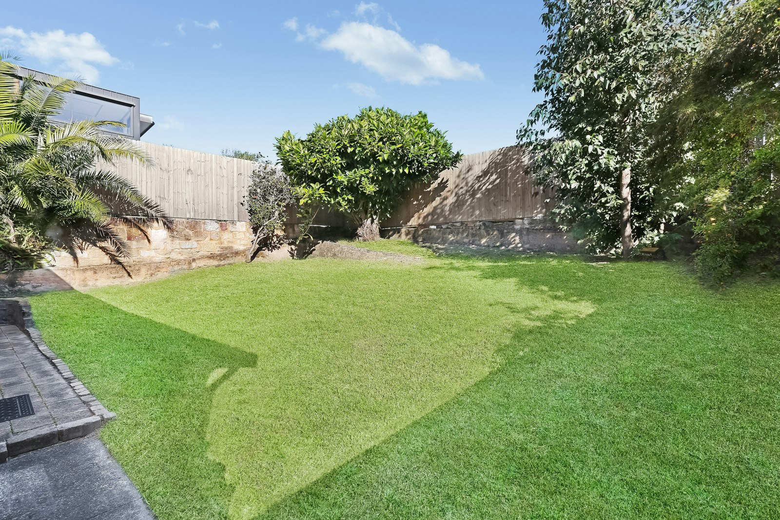 Image of backyard