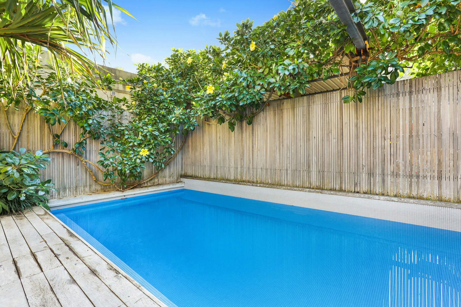 Image of backyard