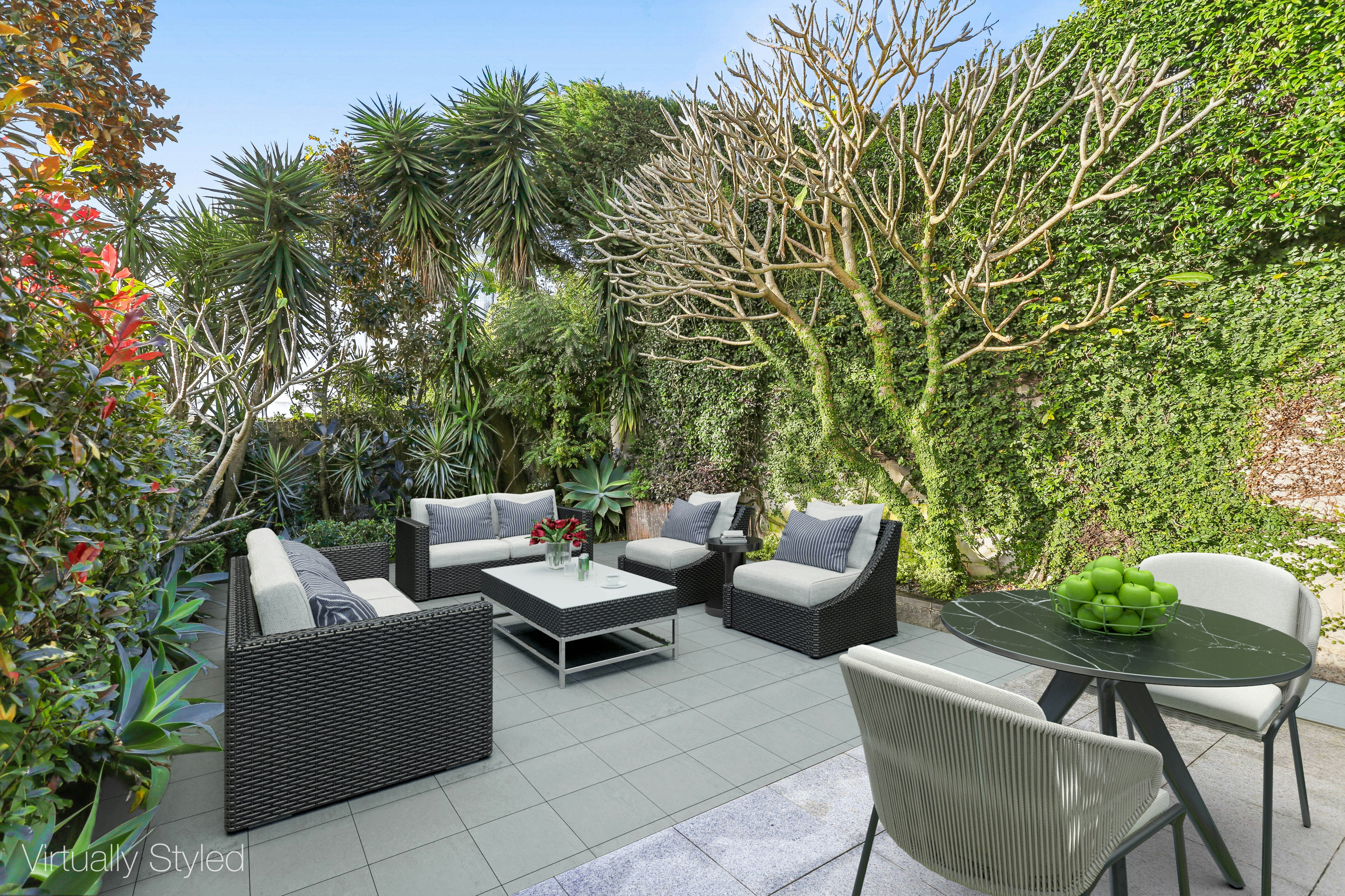Image of backyard