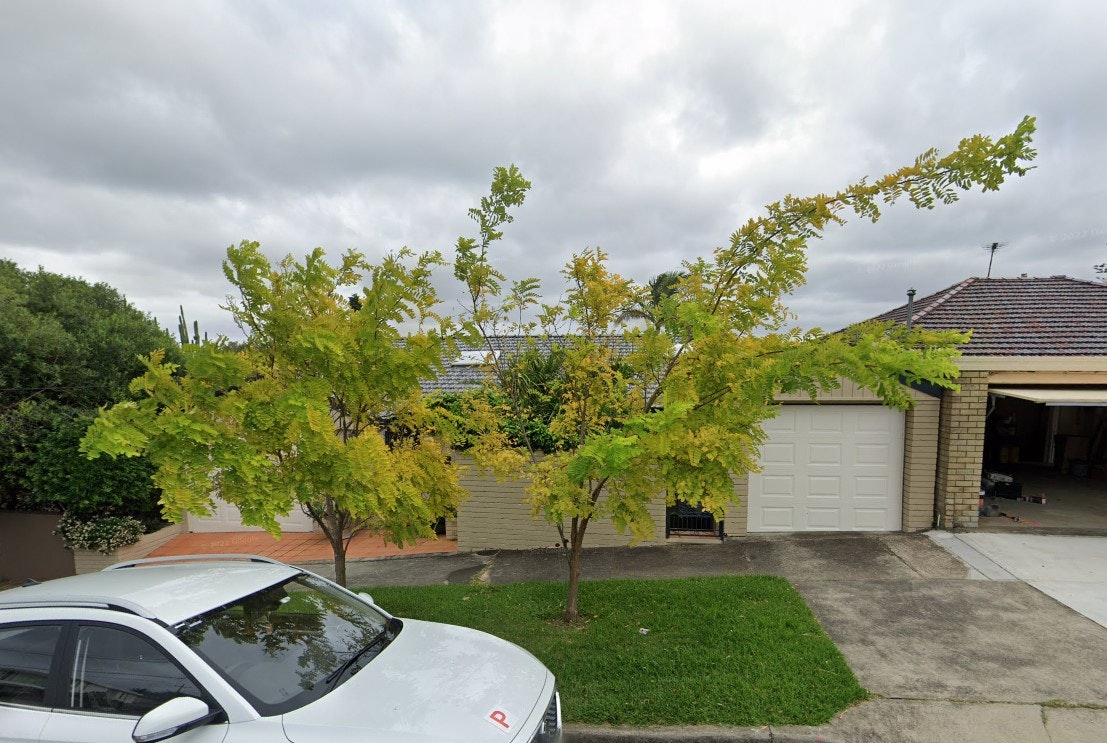 Image of tree