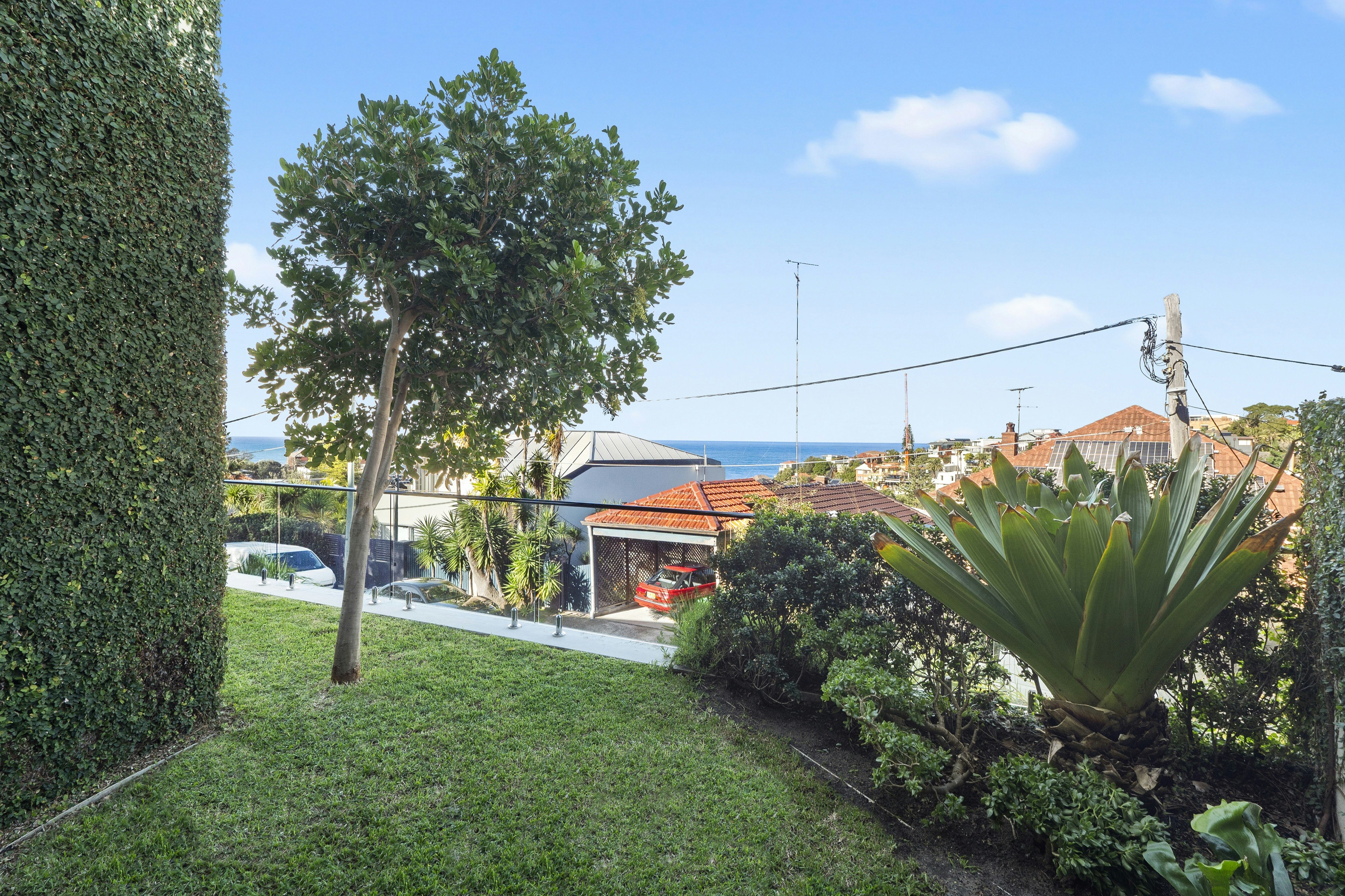Image of garden