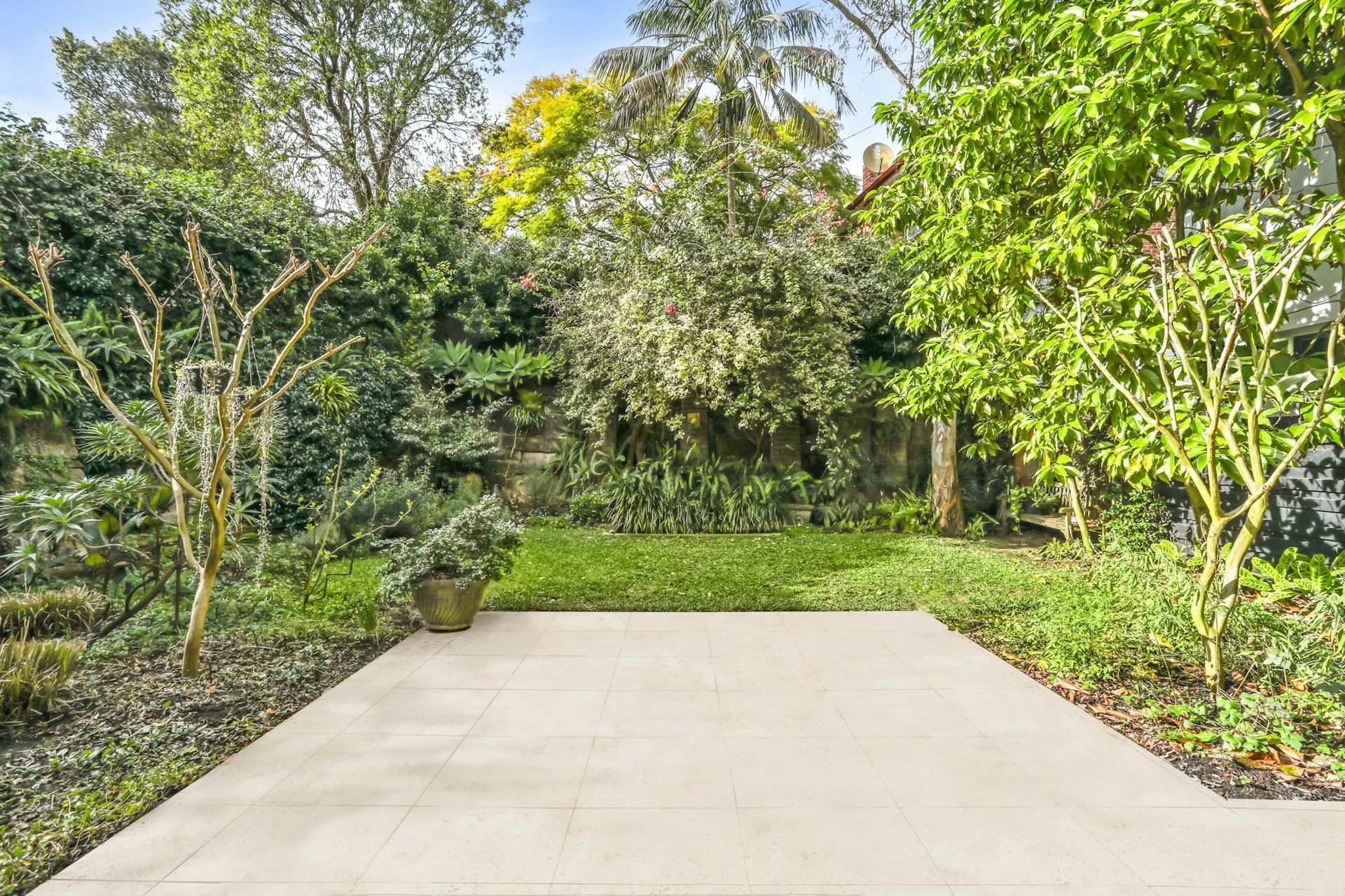 garden
