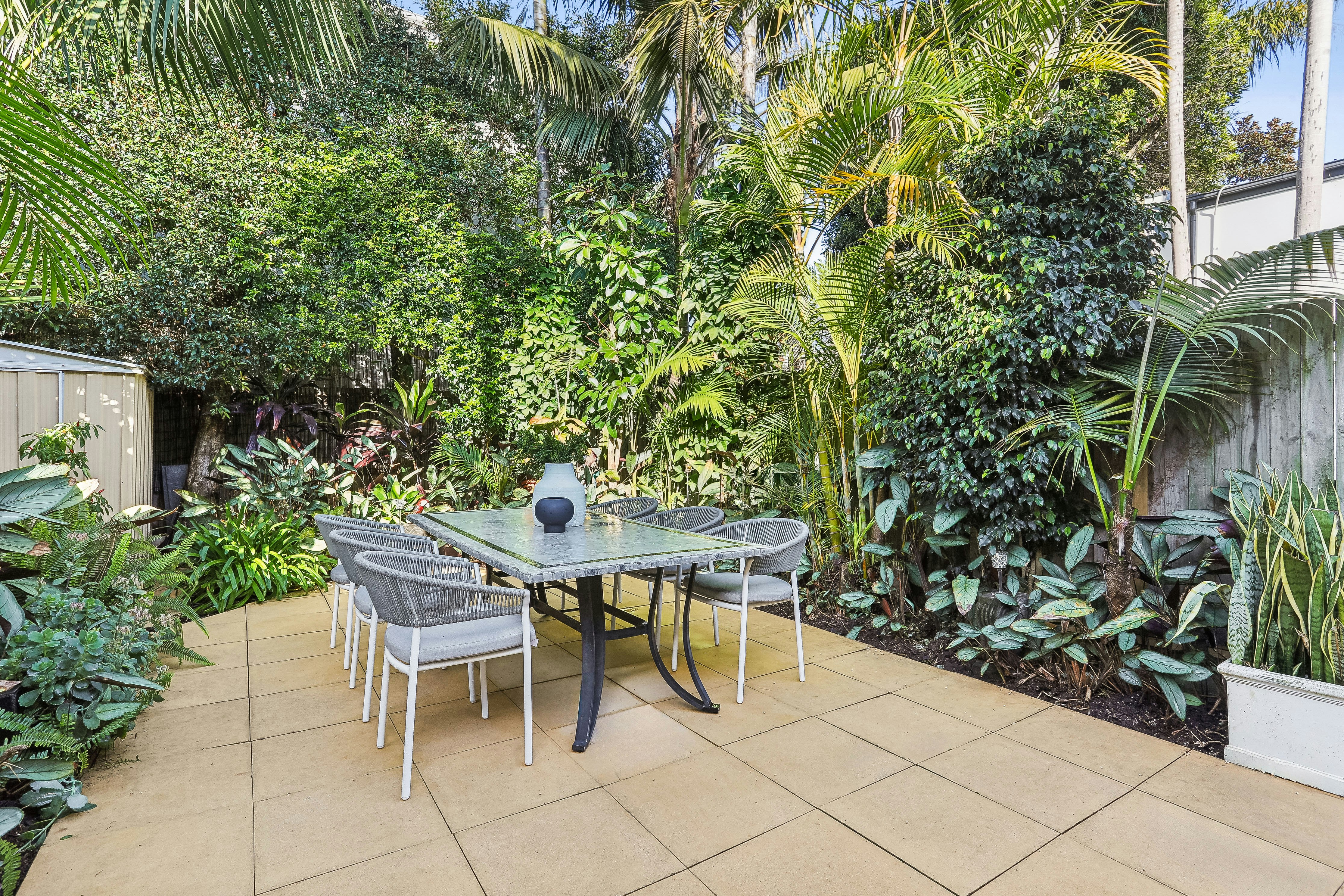 Image of backyard