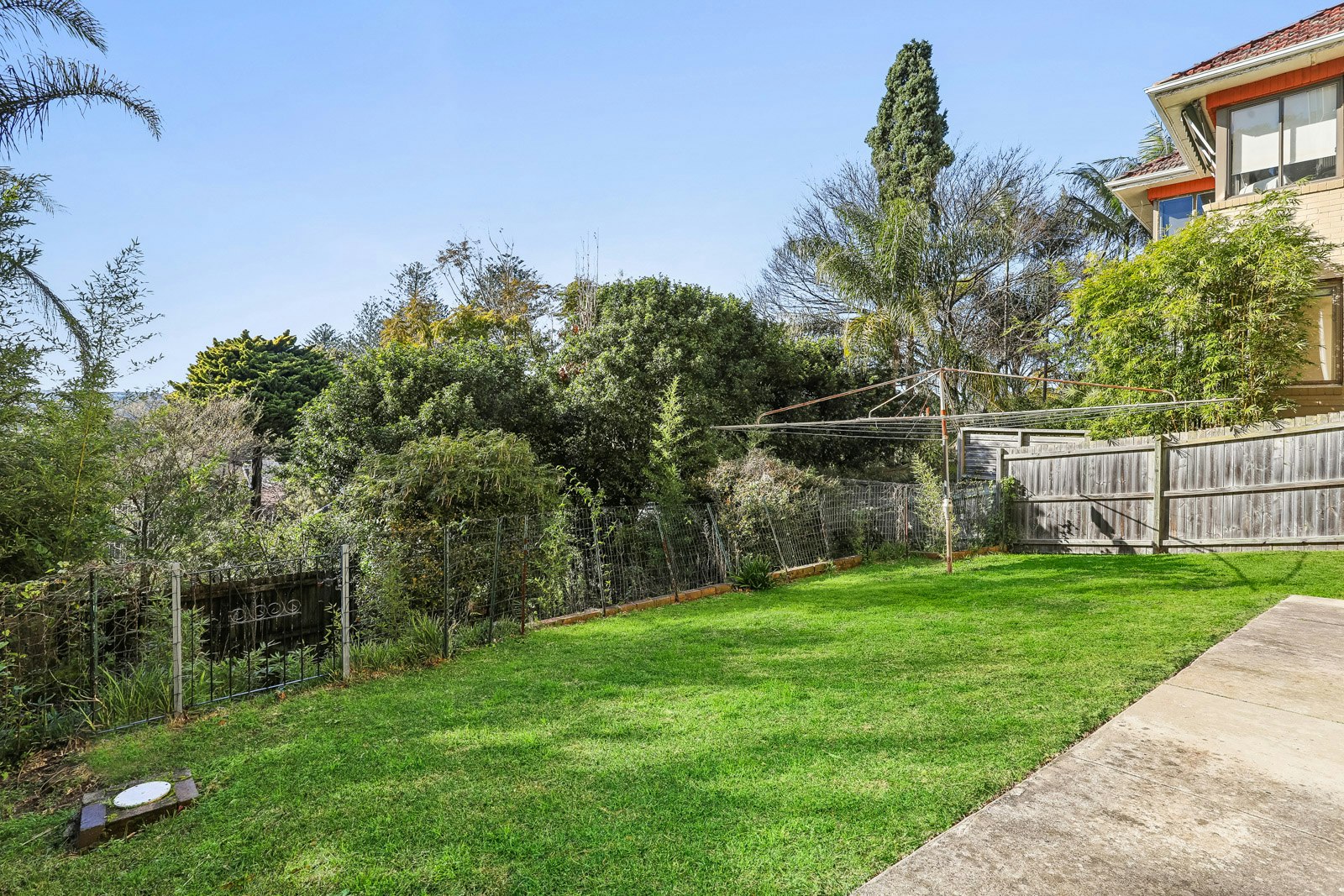 Image of backyard