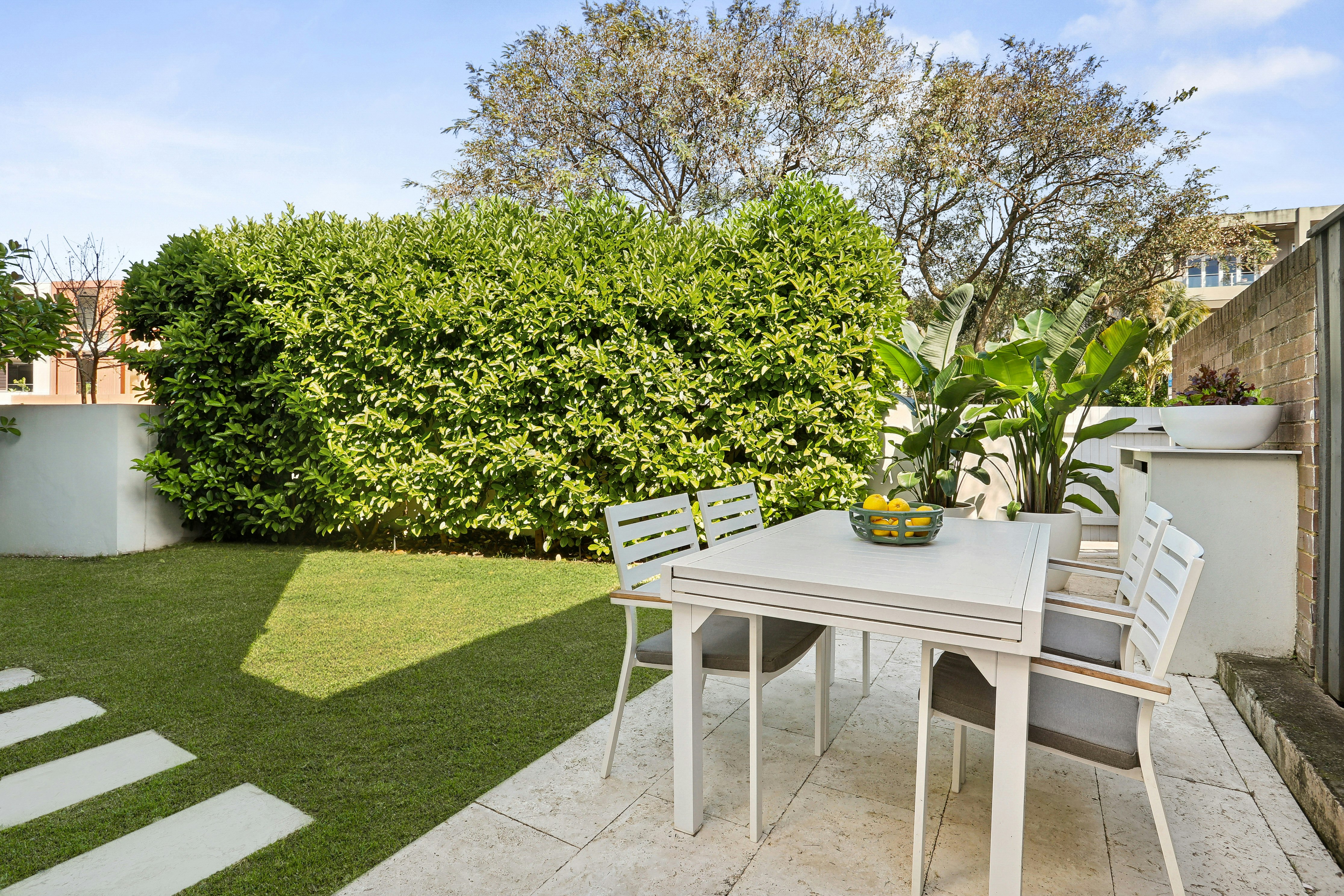 Image of backyard