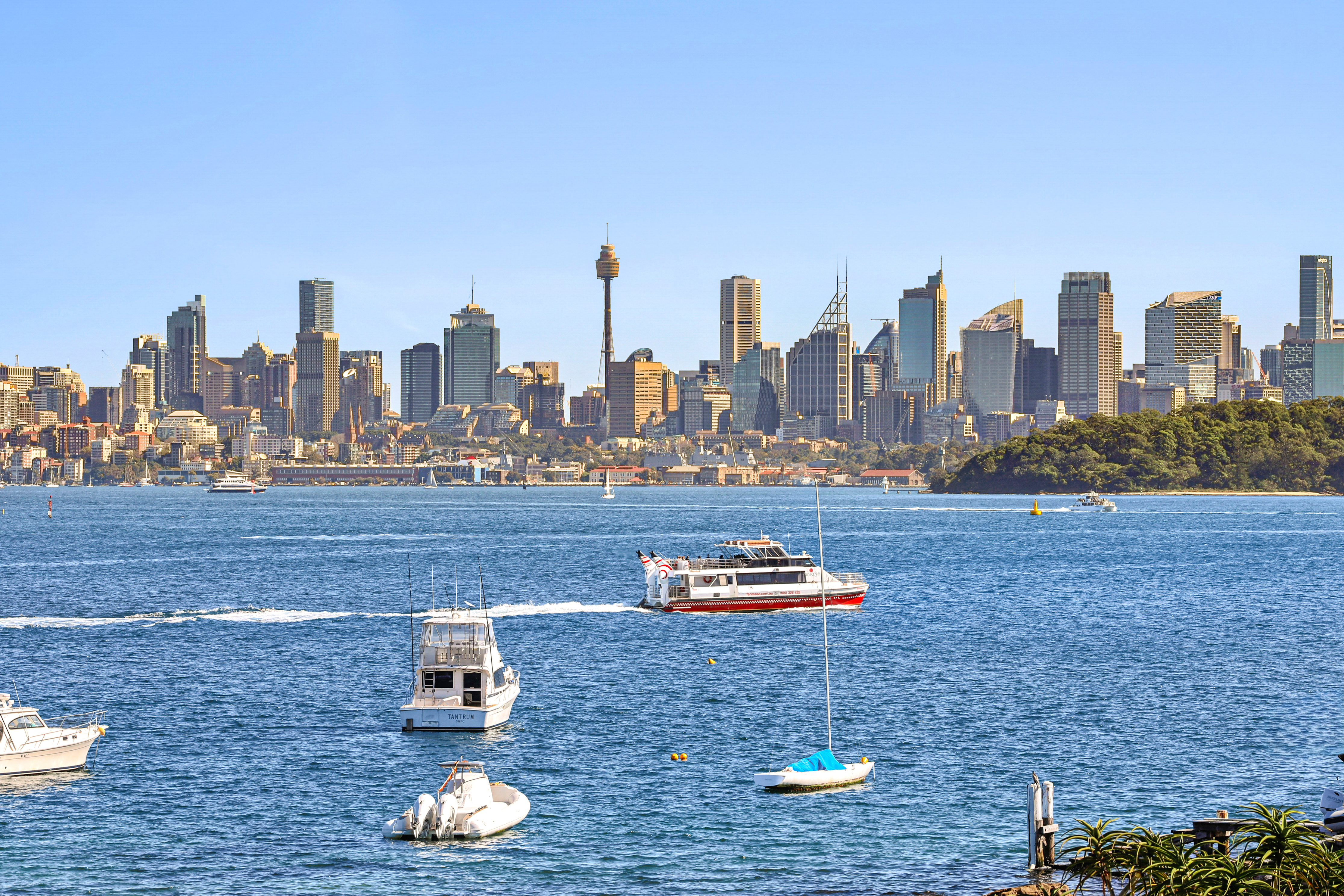 1 Cove Street, Watsons Bay - Thumbnail 6