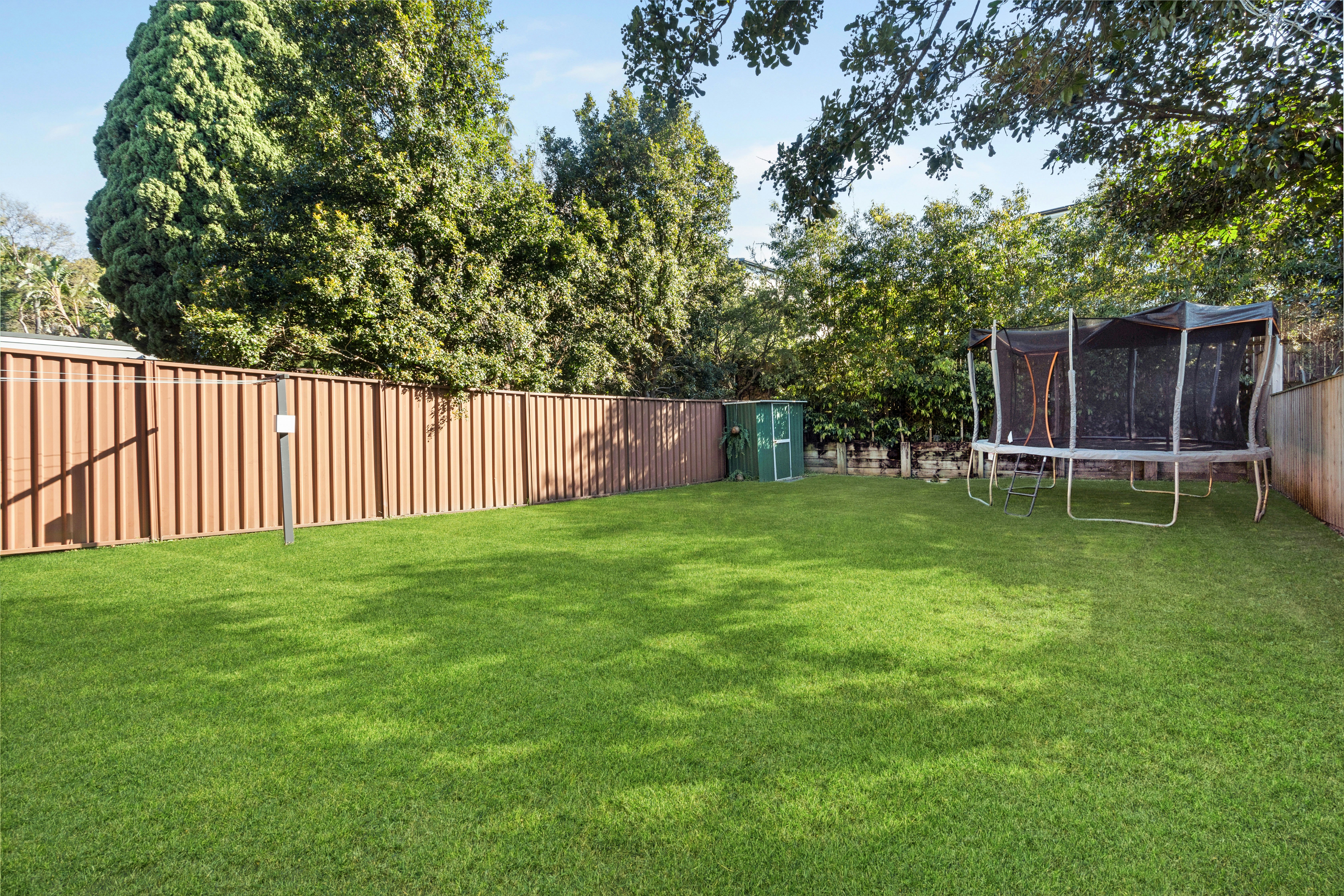 Image of backyard