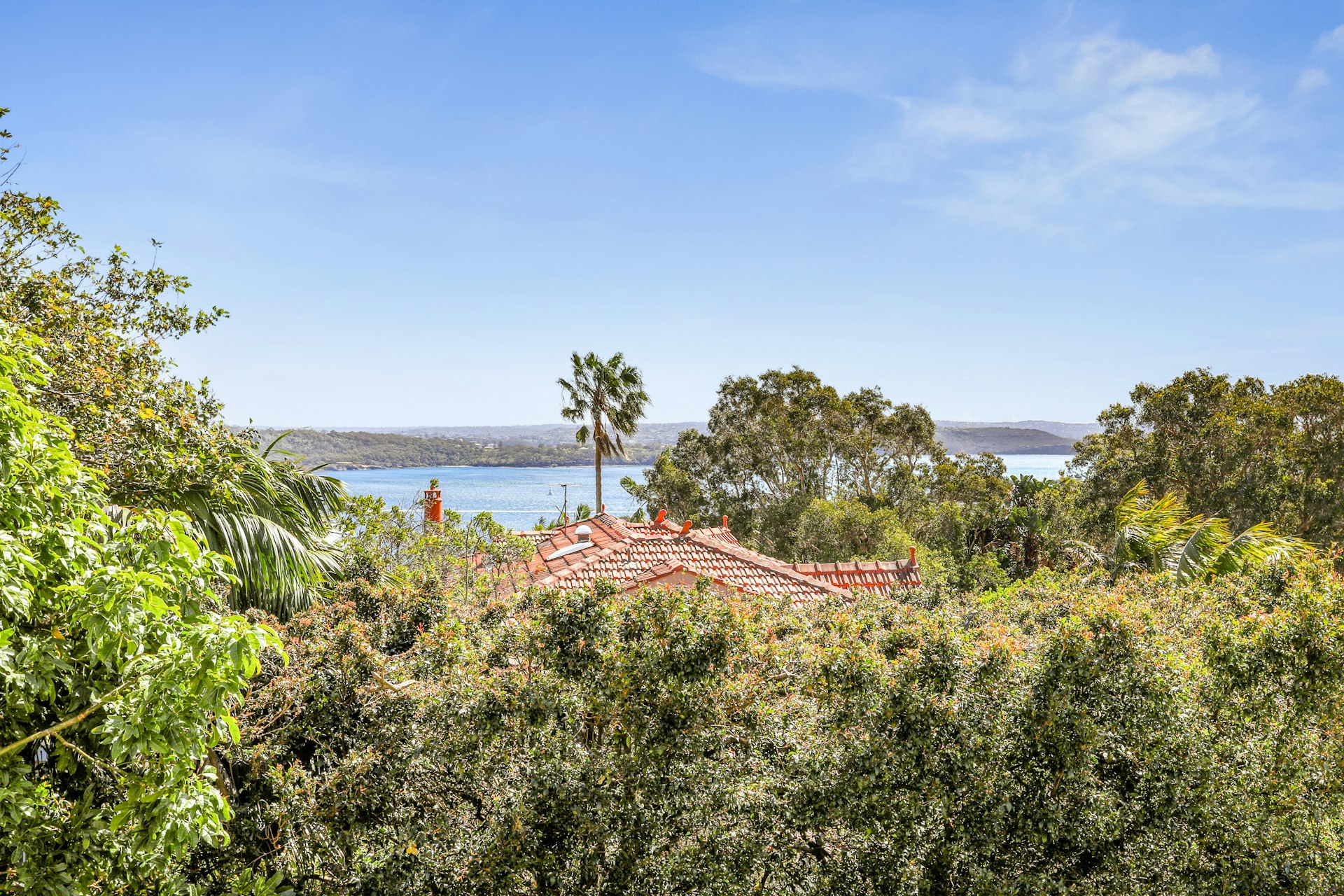 31 Olphert Avenue, Vaucluse NSW