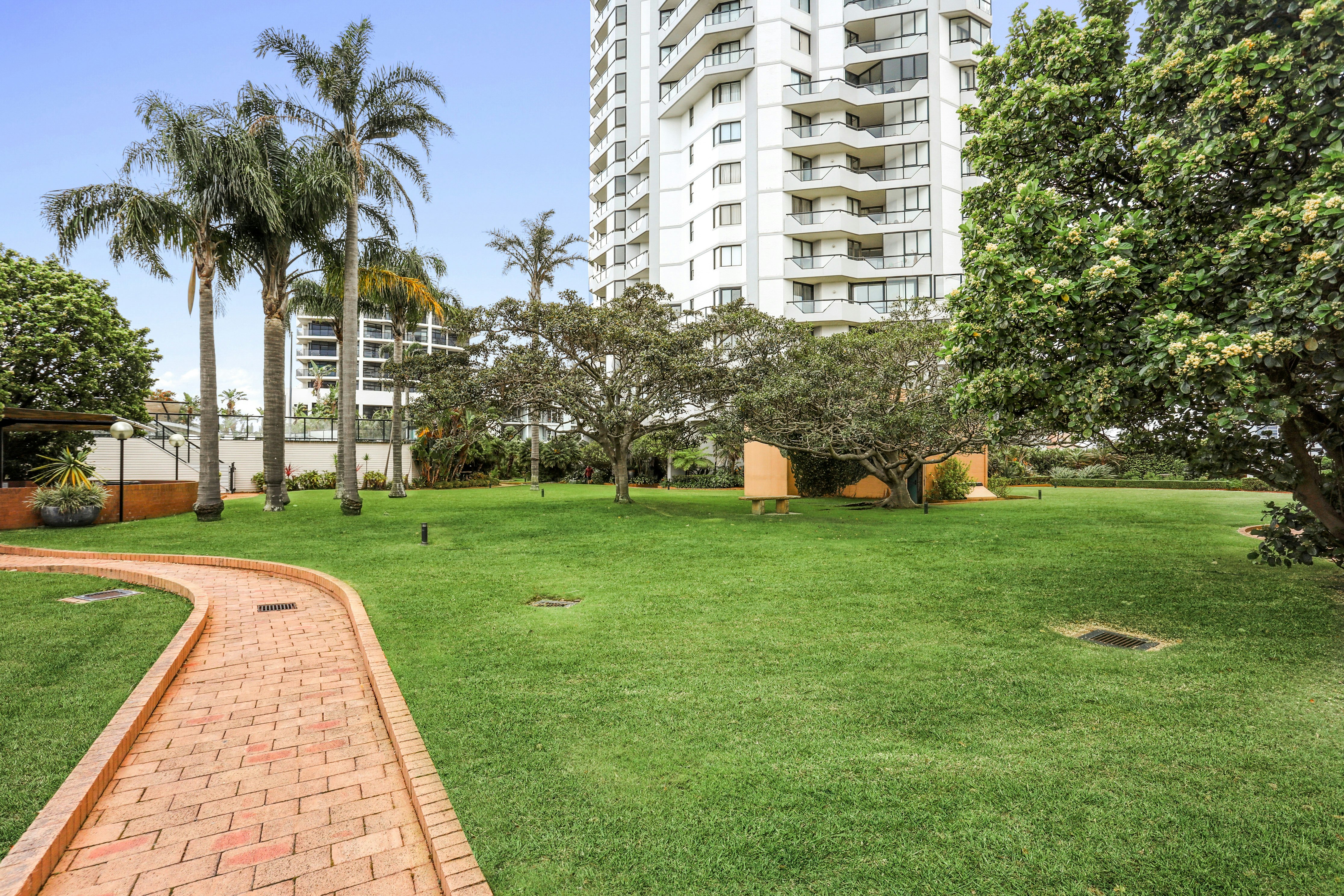 Image of grass