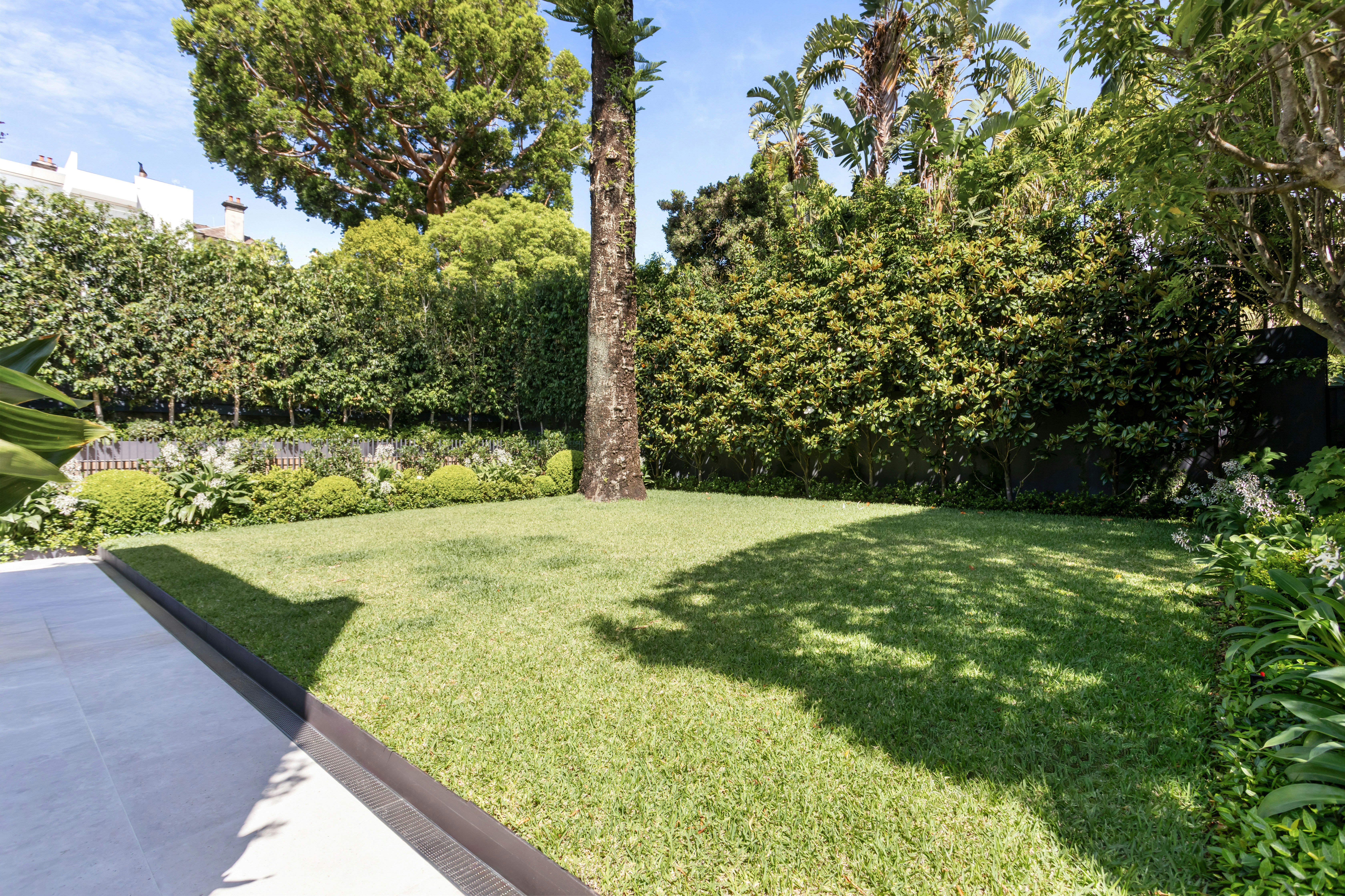 Image of grass