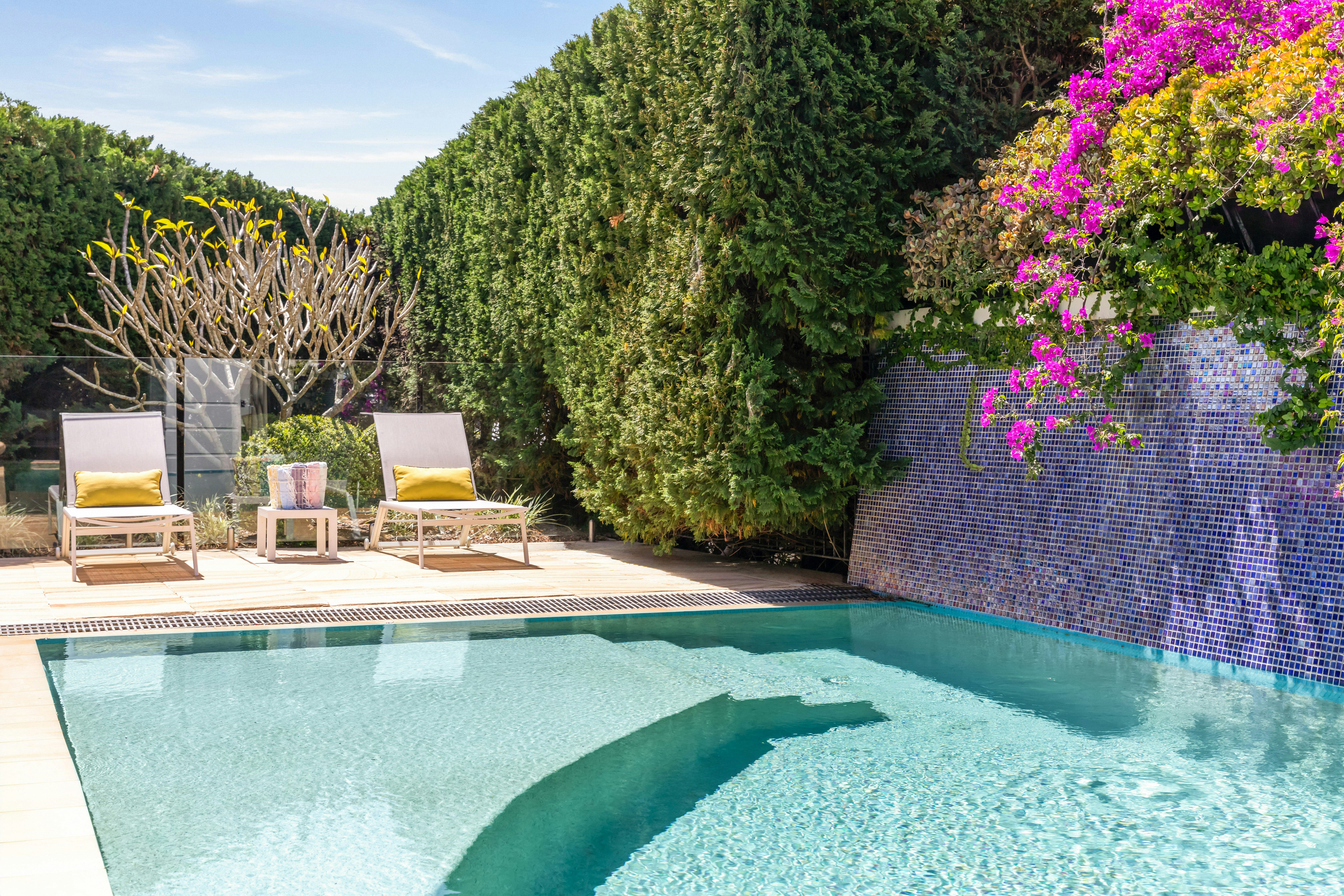 Image of backyard