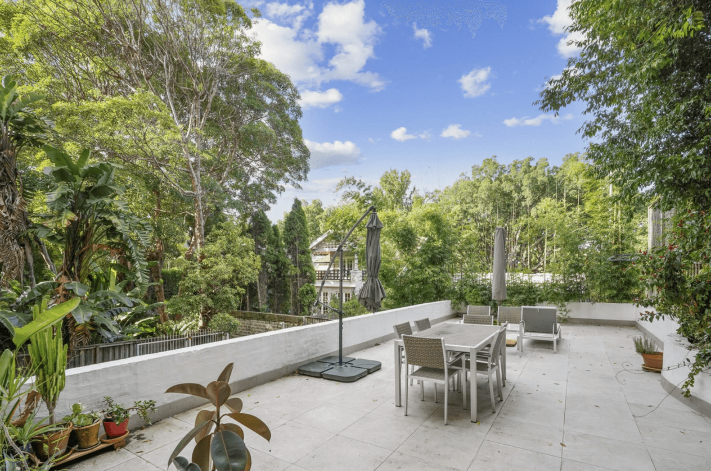 Image of garden