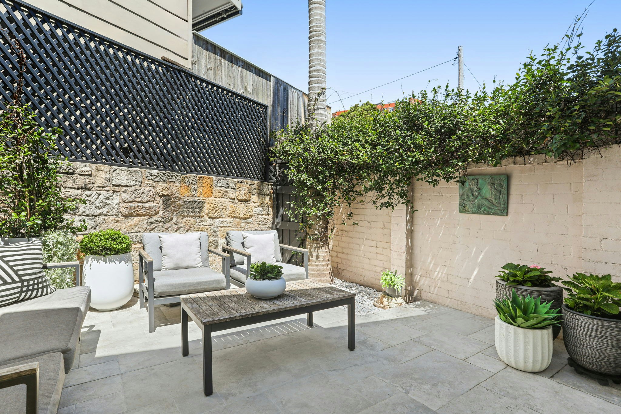 Image of backyard