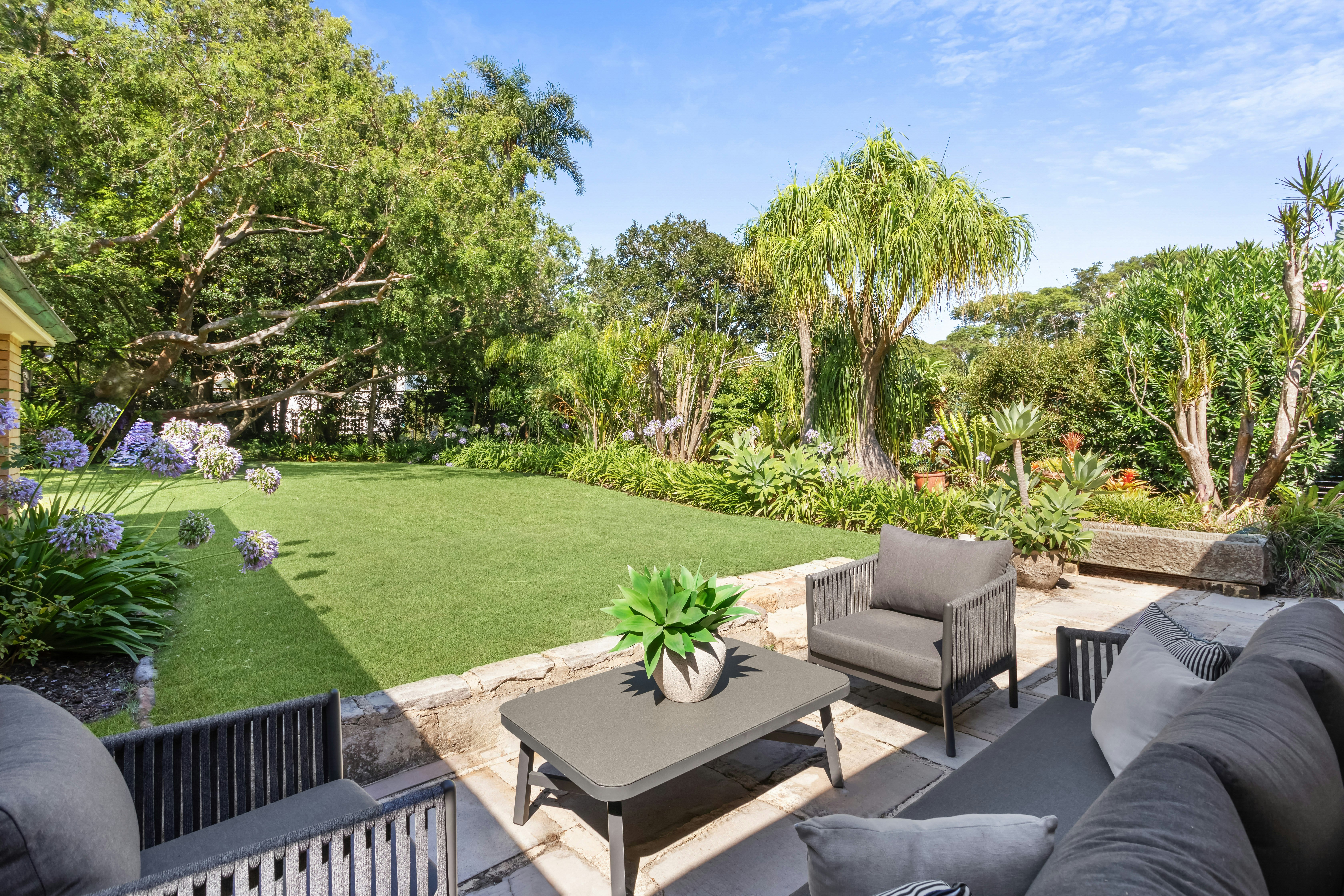 Image of backyard