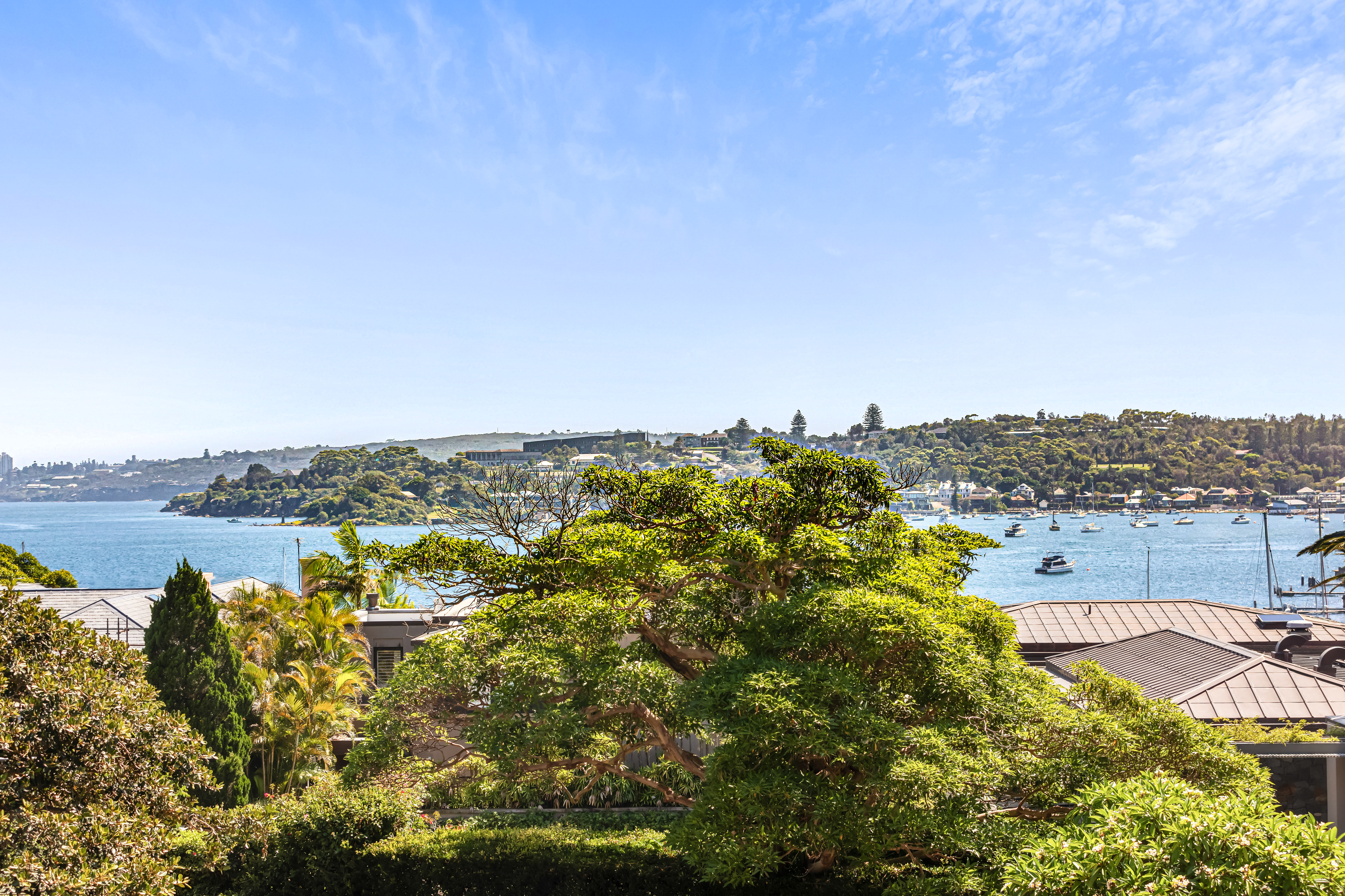 36 Coolong Road, Vaucluse - Thumbnail 6