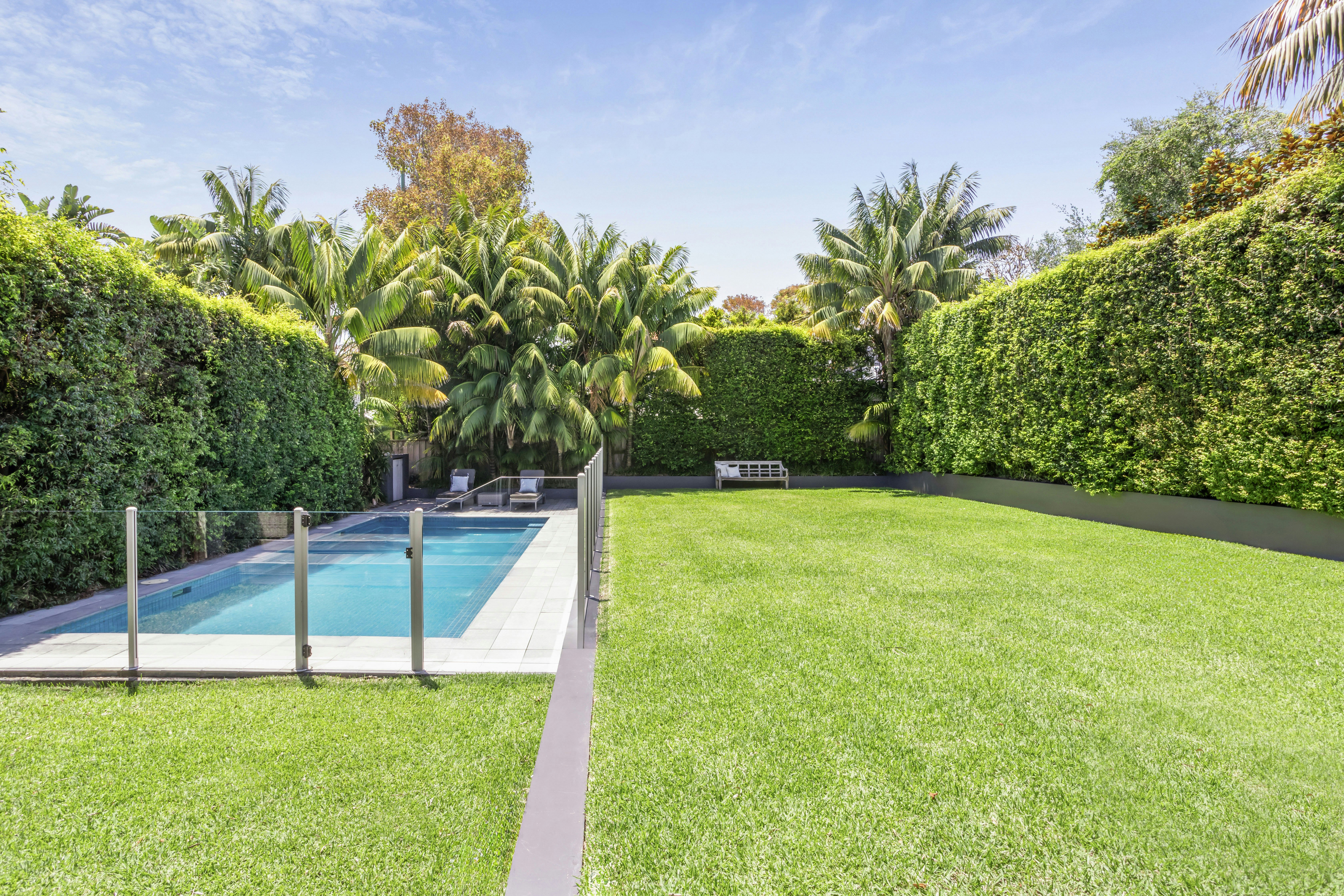 Image of backyard