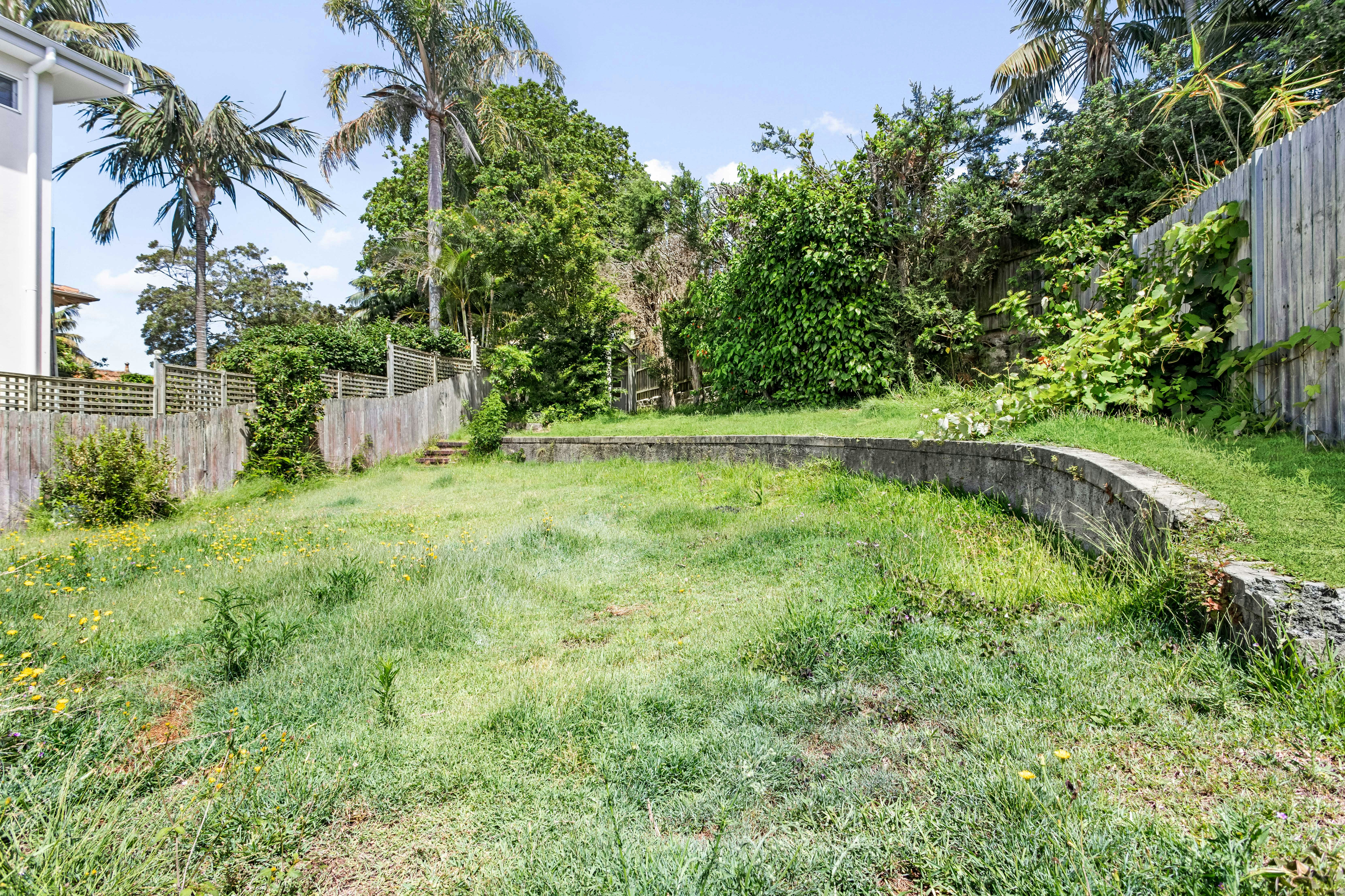 Image of backyard