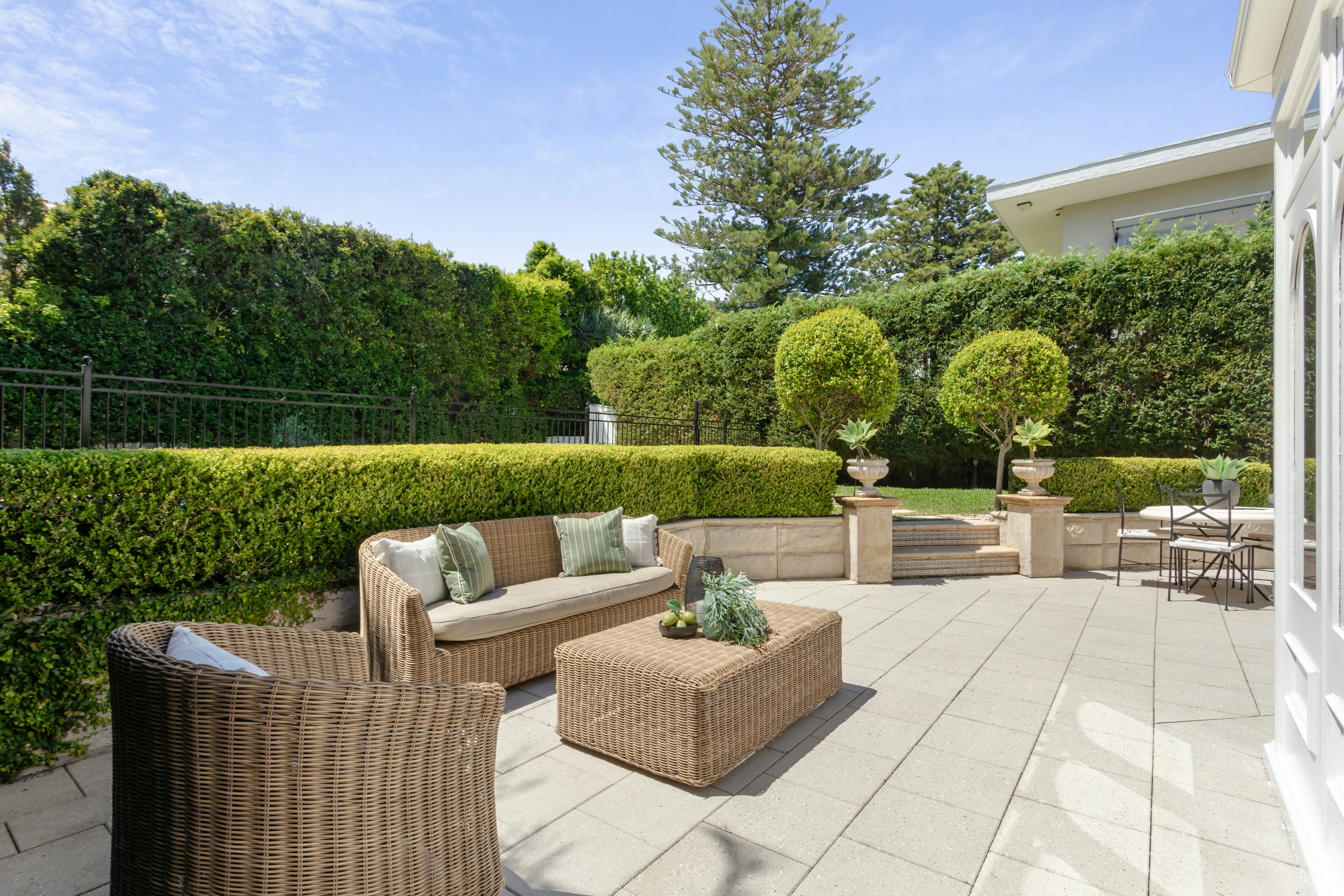 Image of backyard
