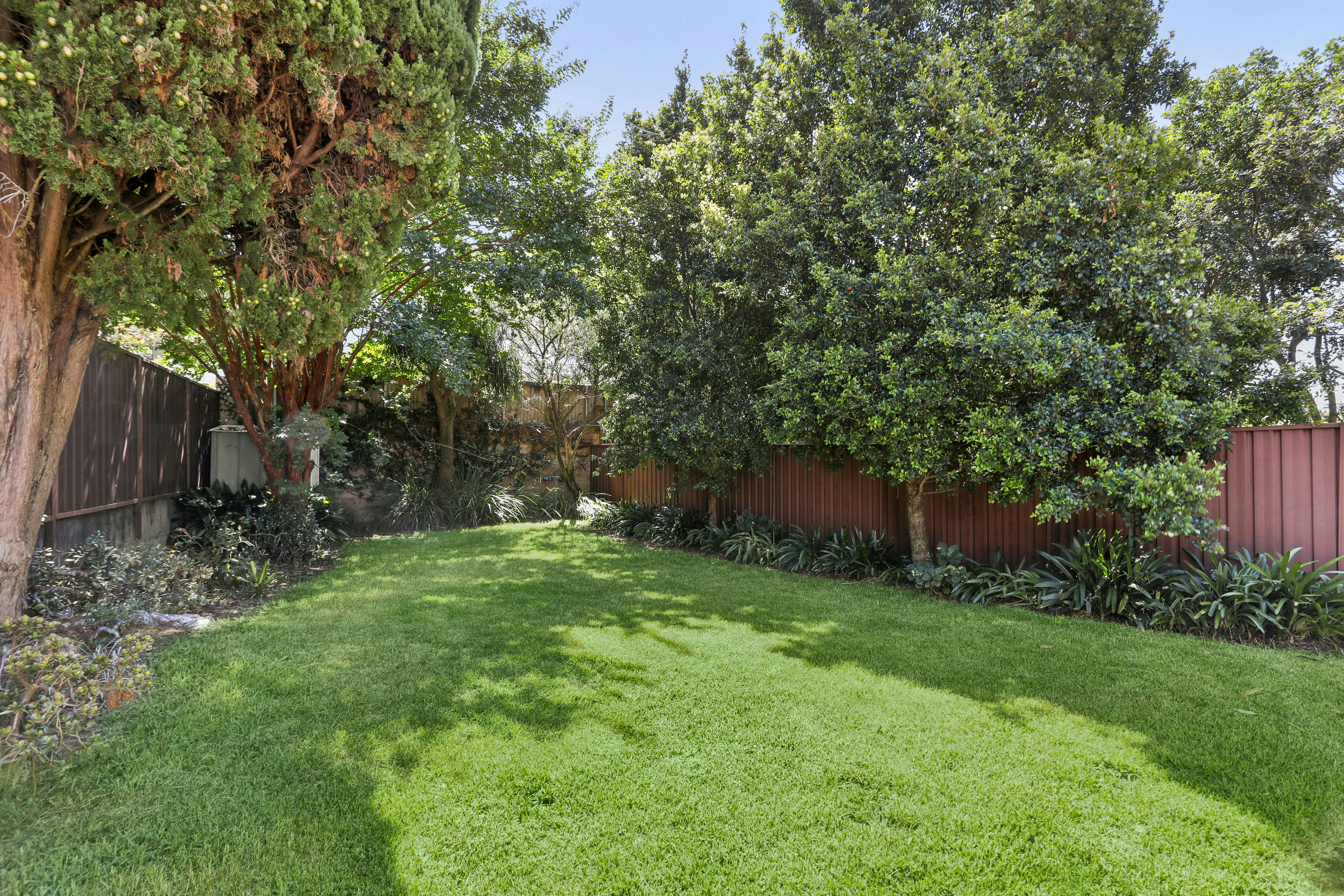 Image of backyard