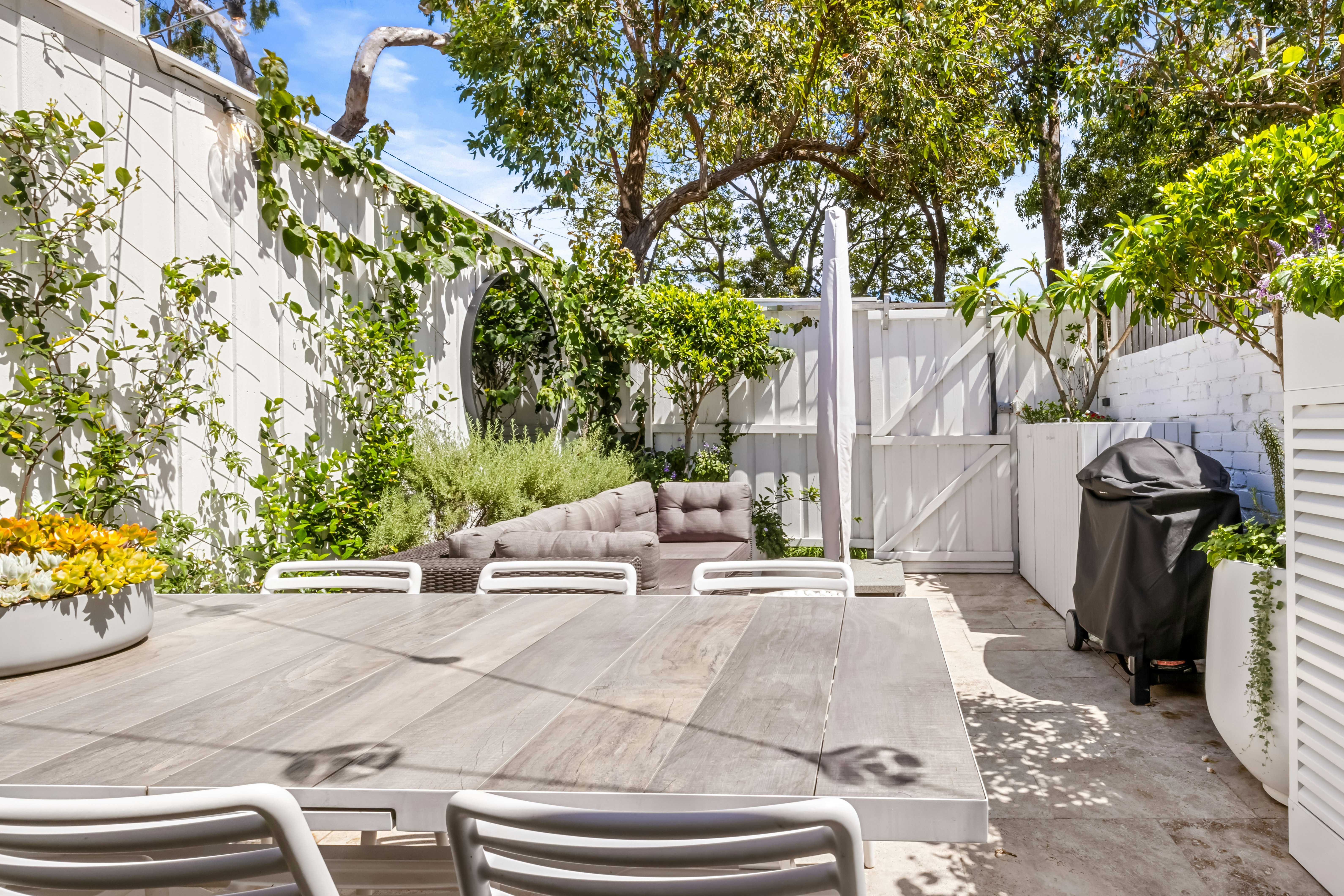 Image of backyard