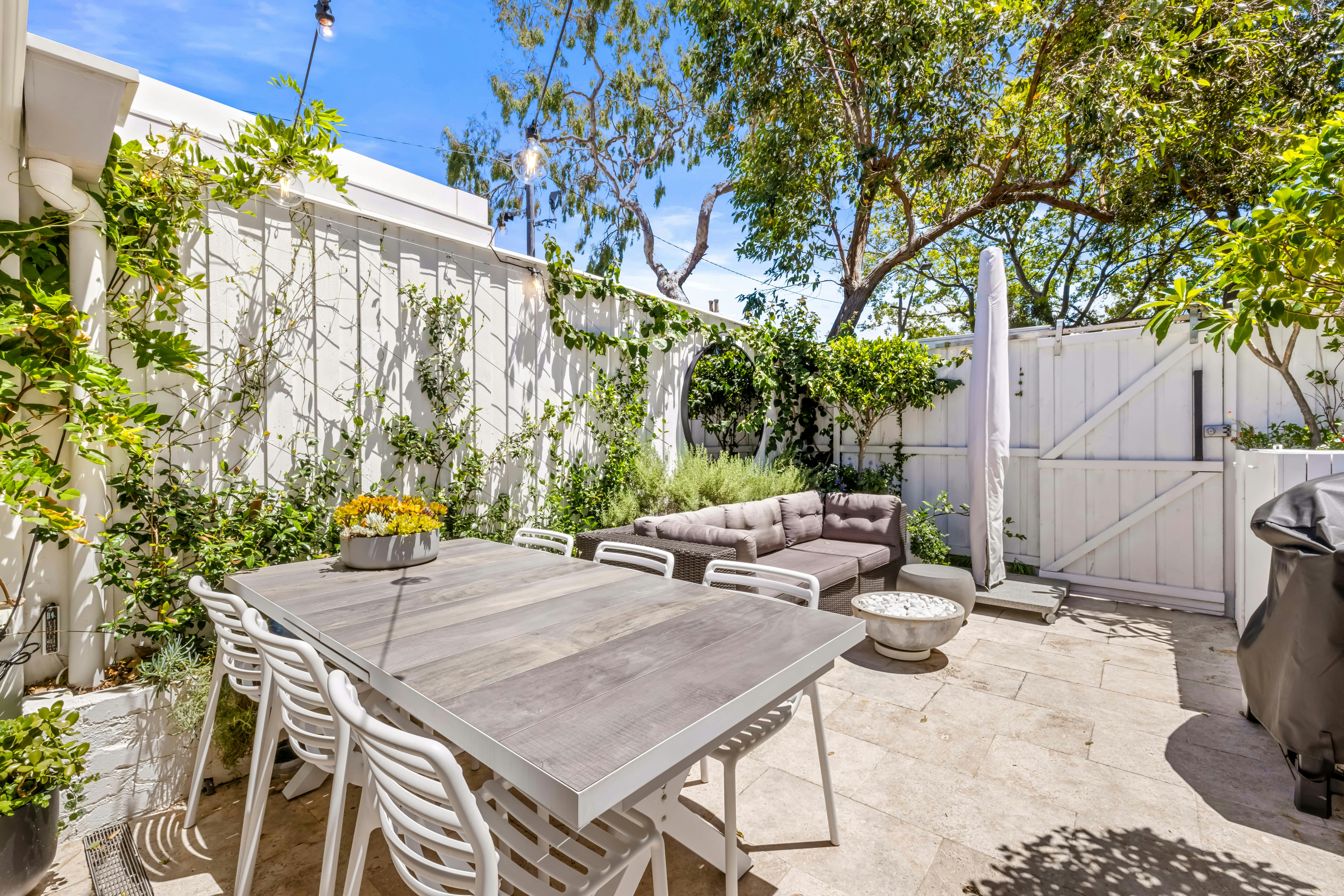 Image of backyard