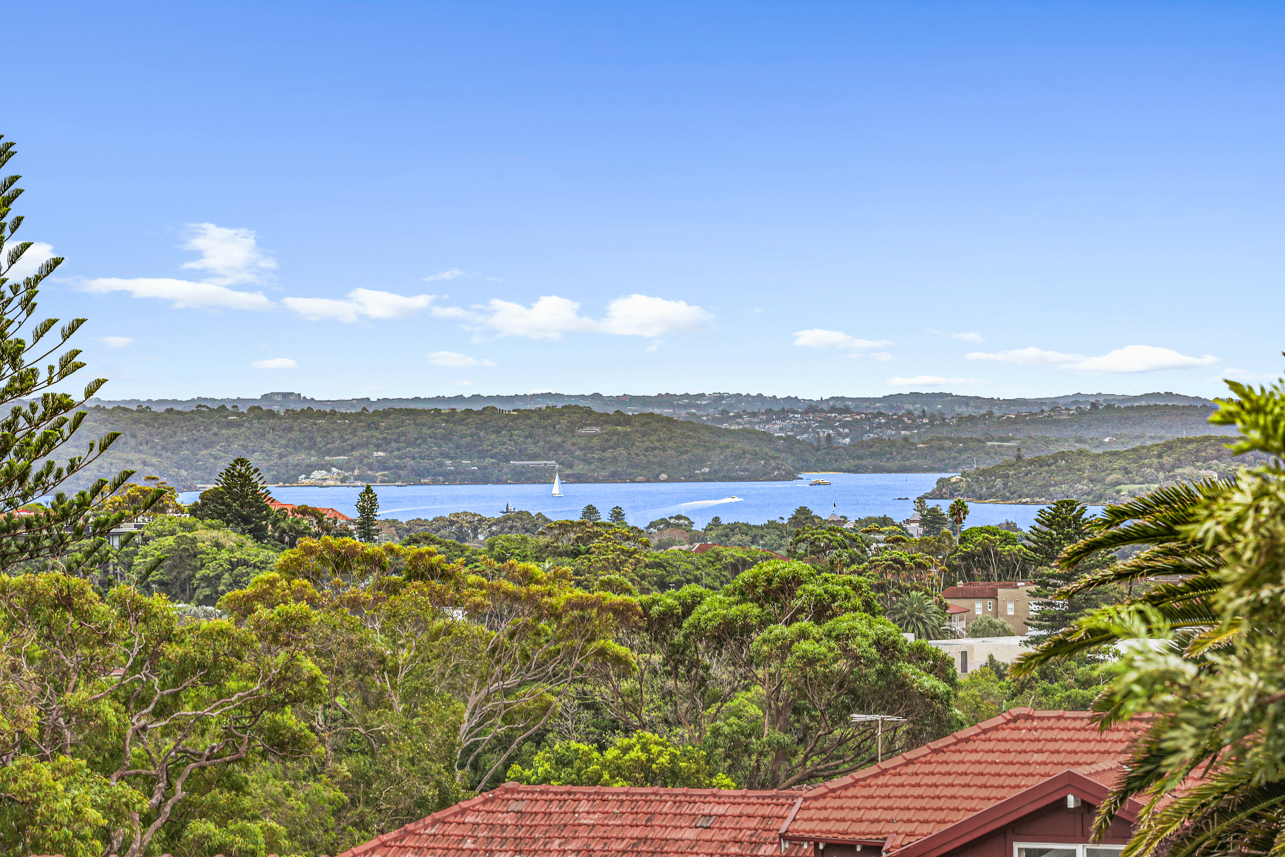 3/286-288 Bondi Road, Bondi - Thumbnail 5