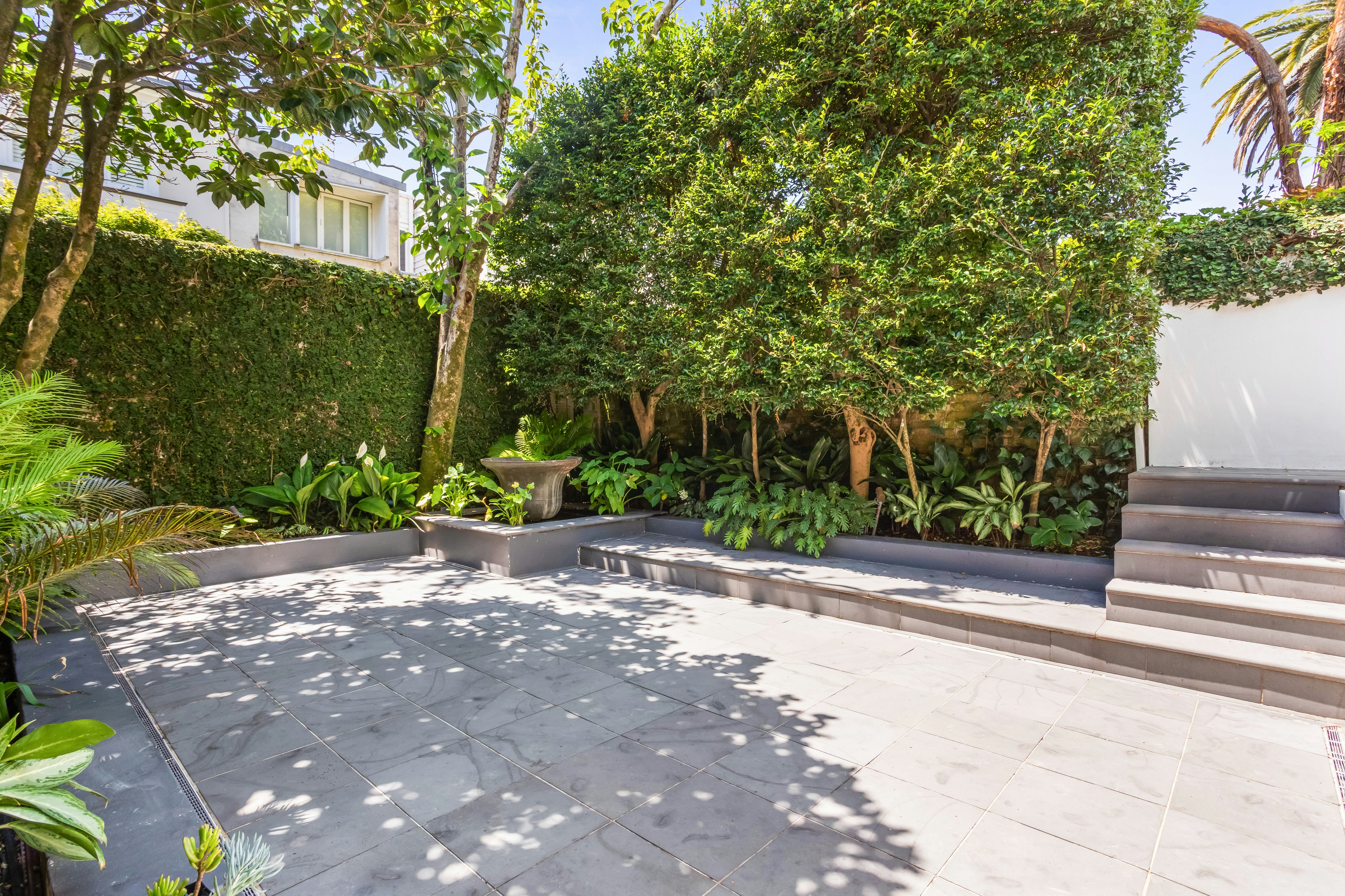 Image of backyard