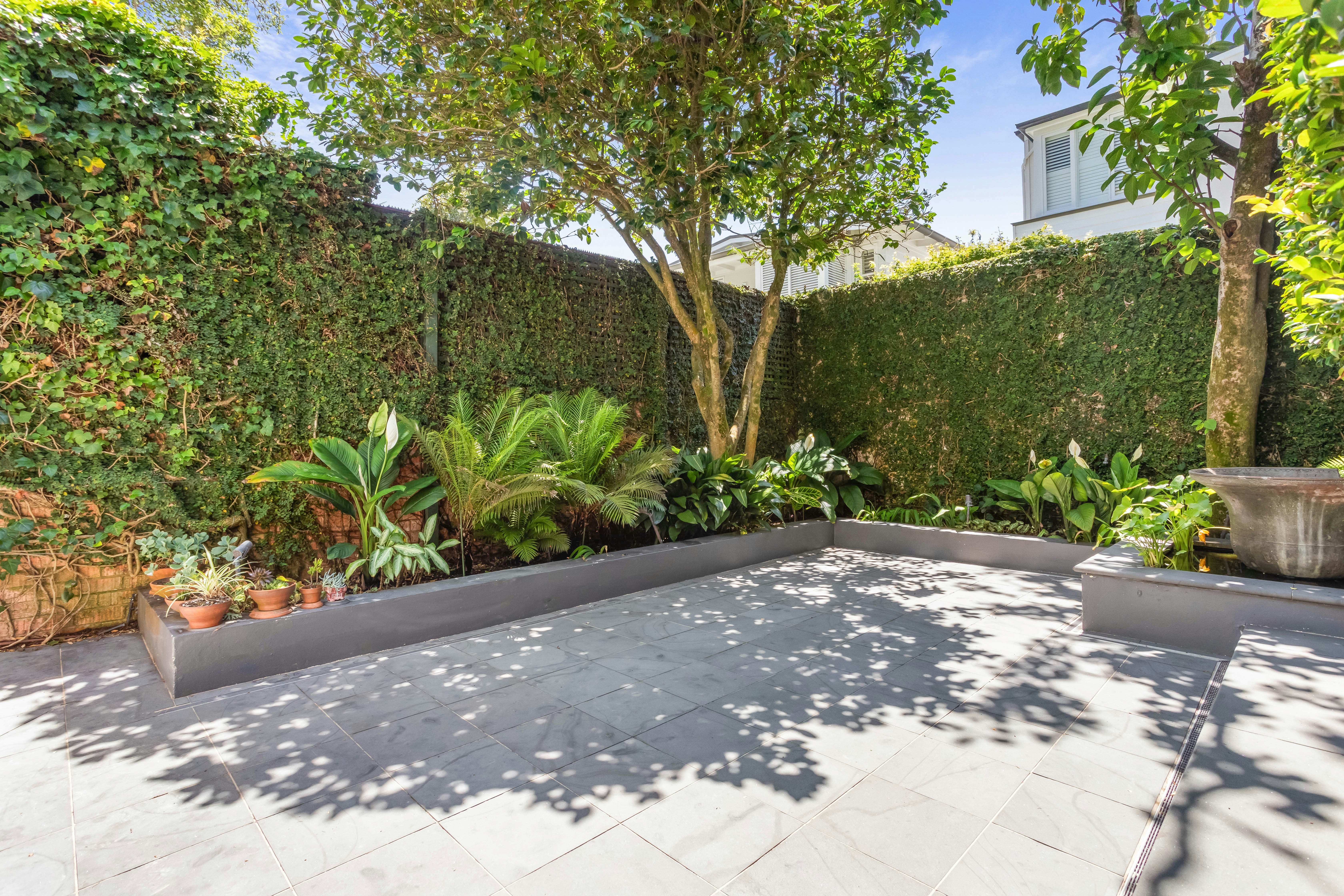 Image of backyard