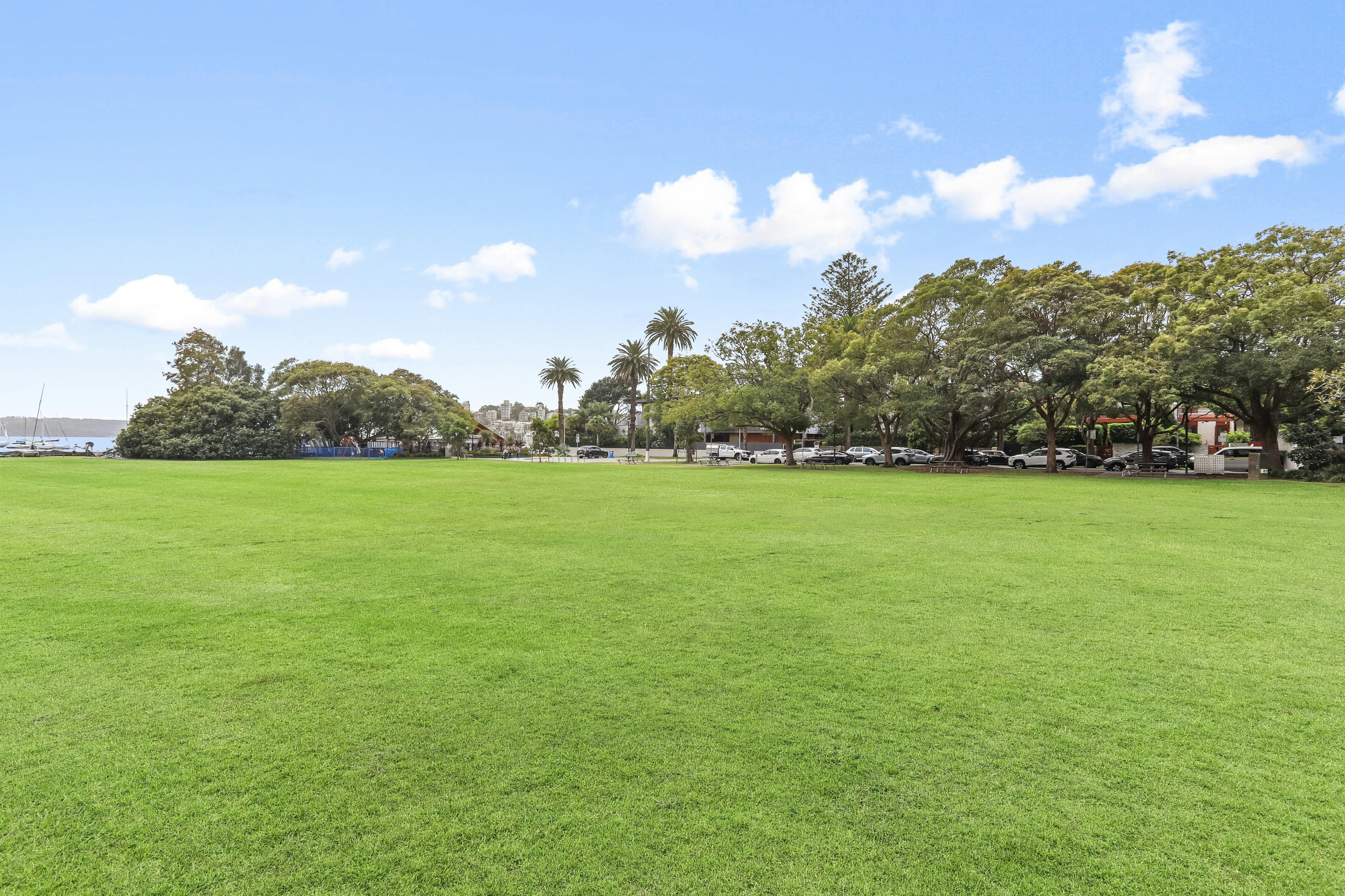 Image of grass