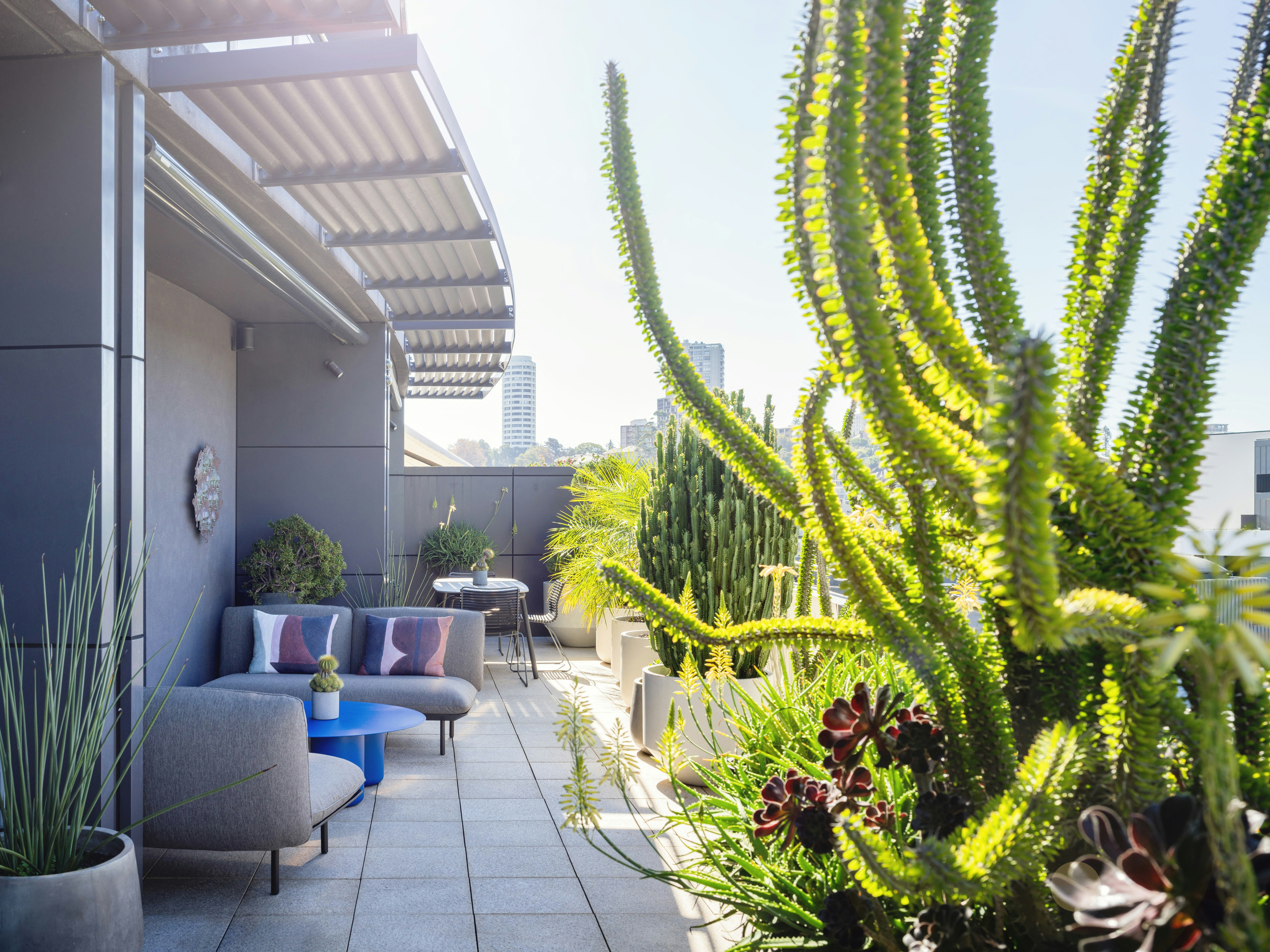 Image of garden