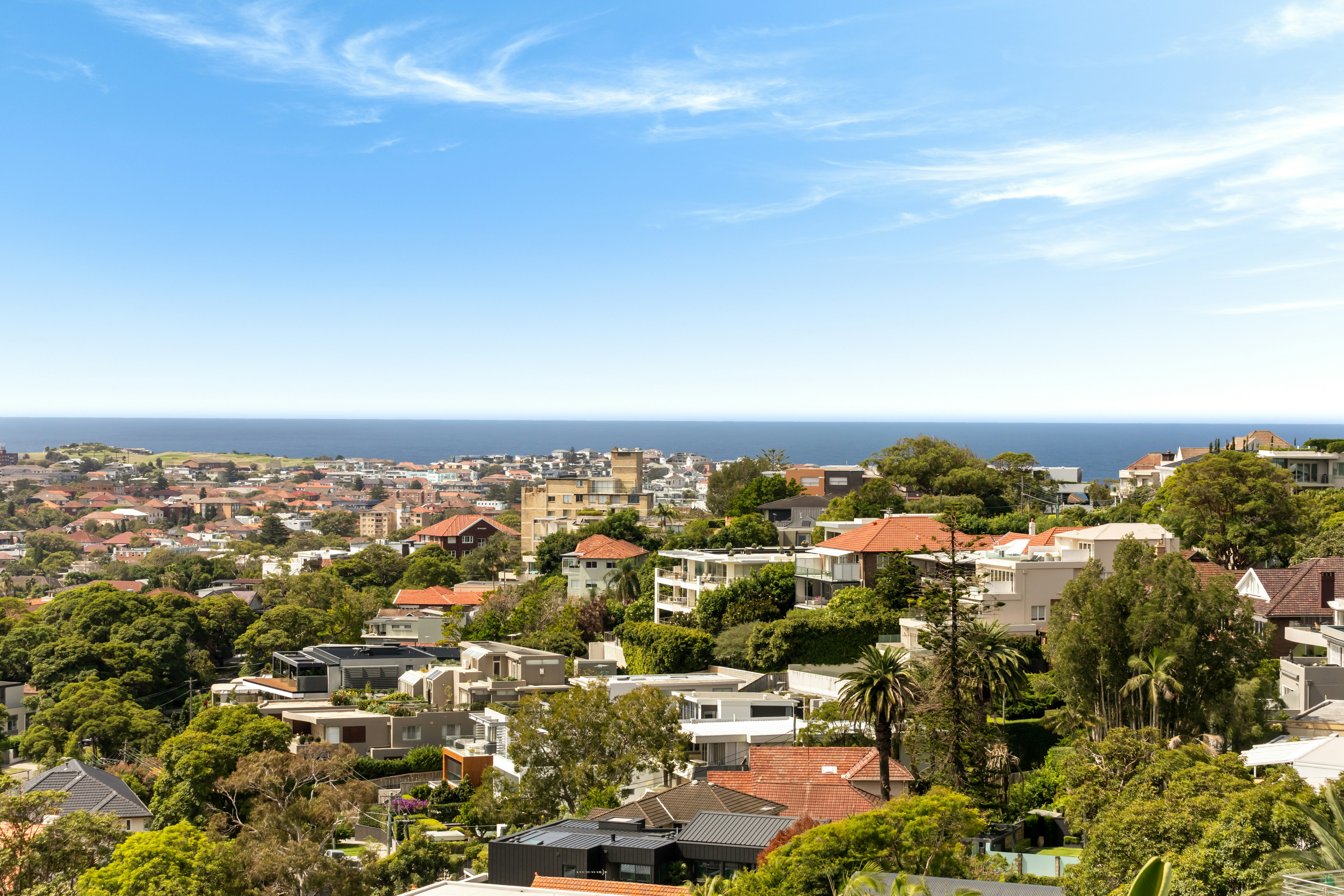Image of neighborhood