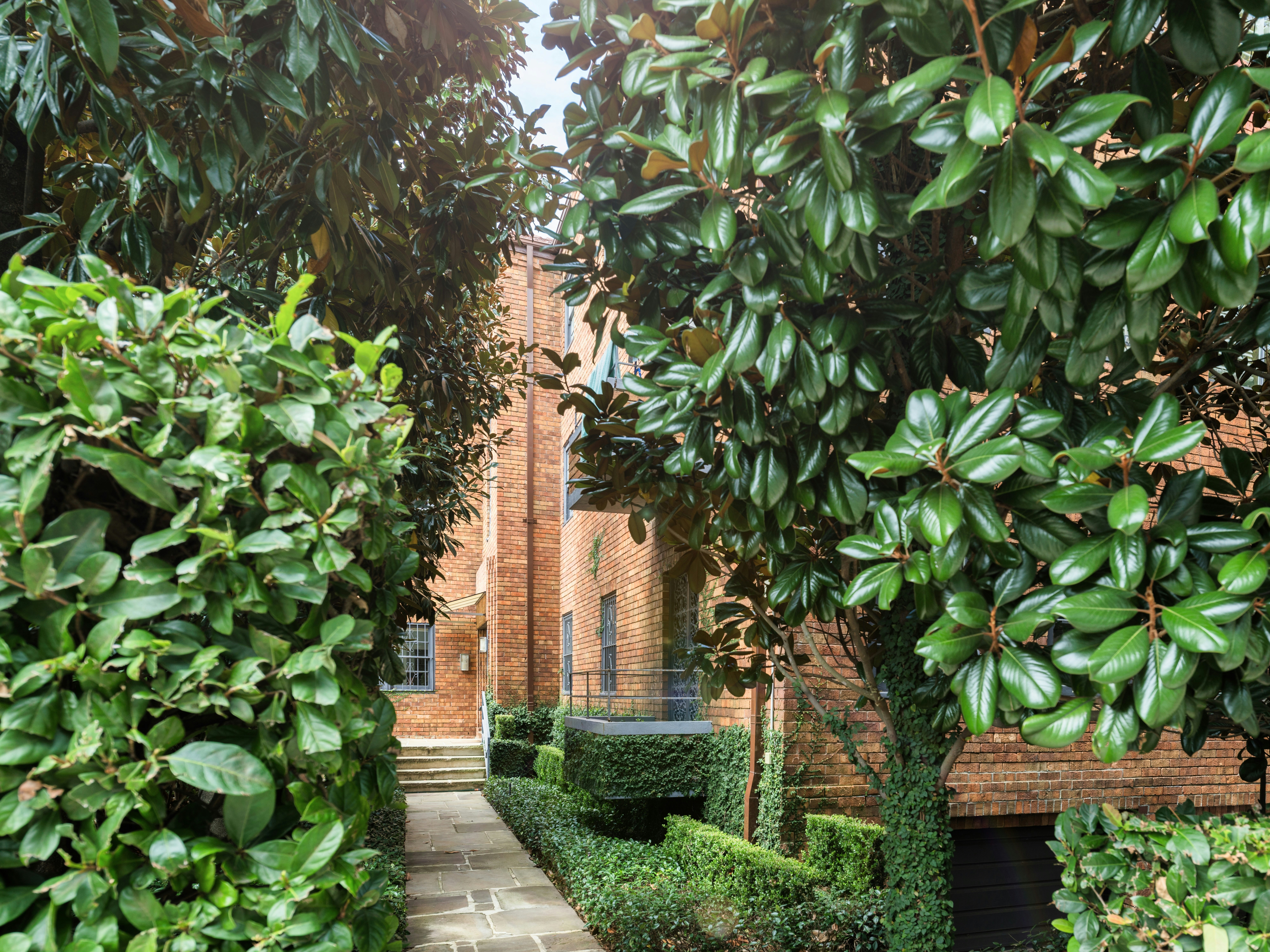 Image of garden