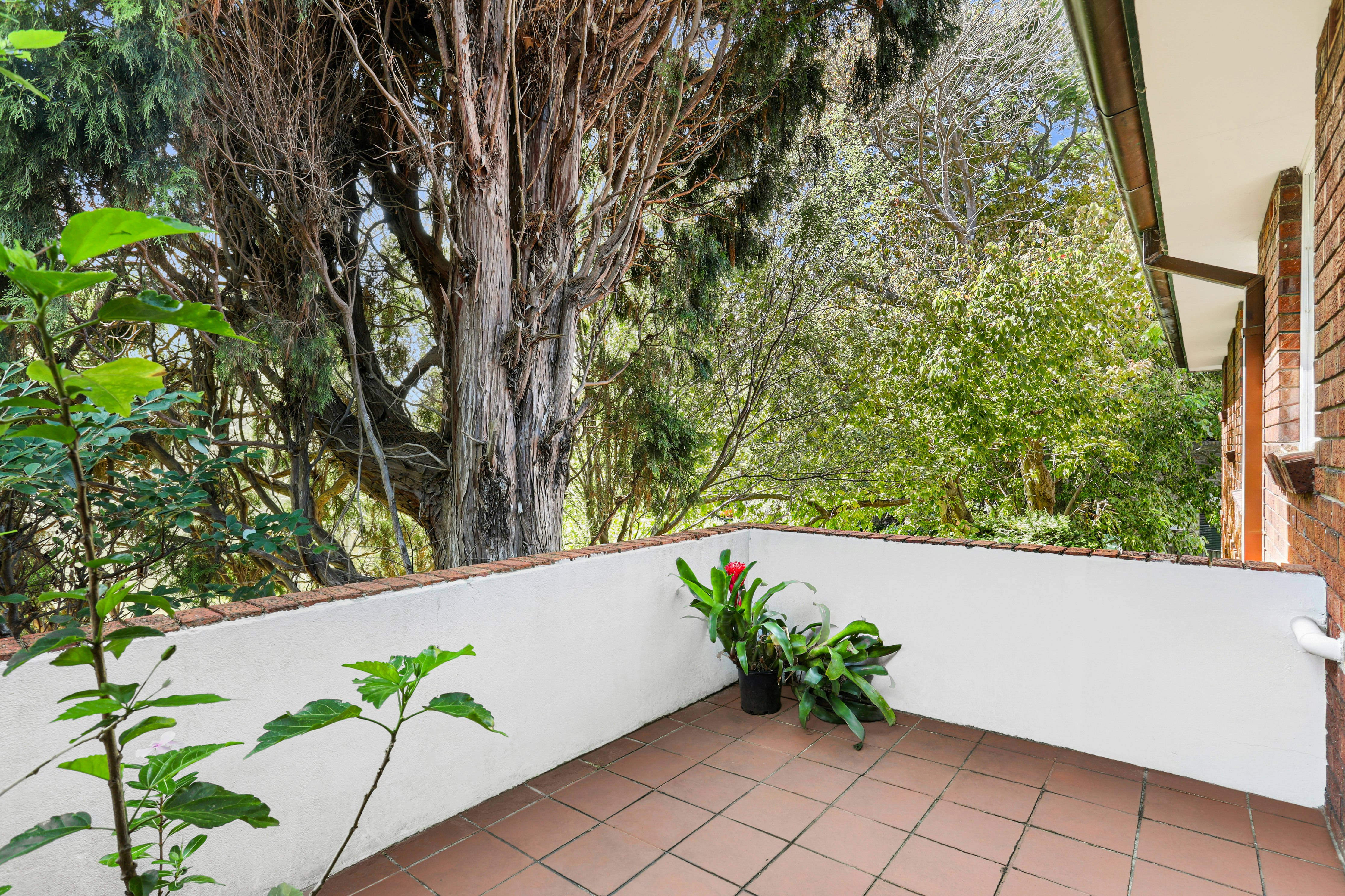 Image of garden