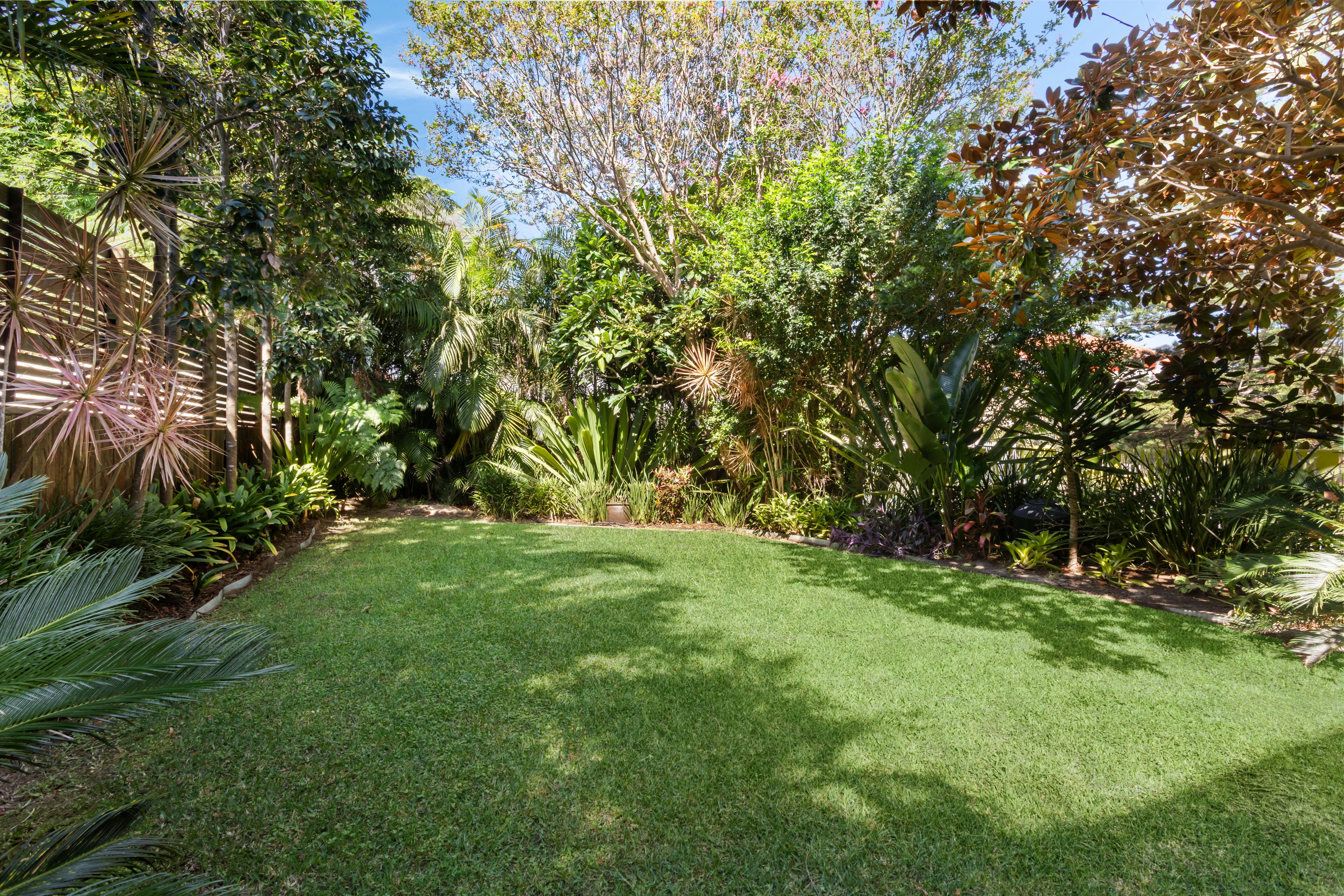 Image of grass