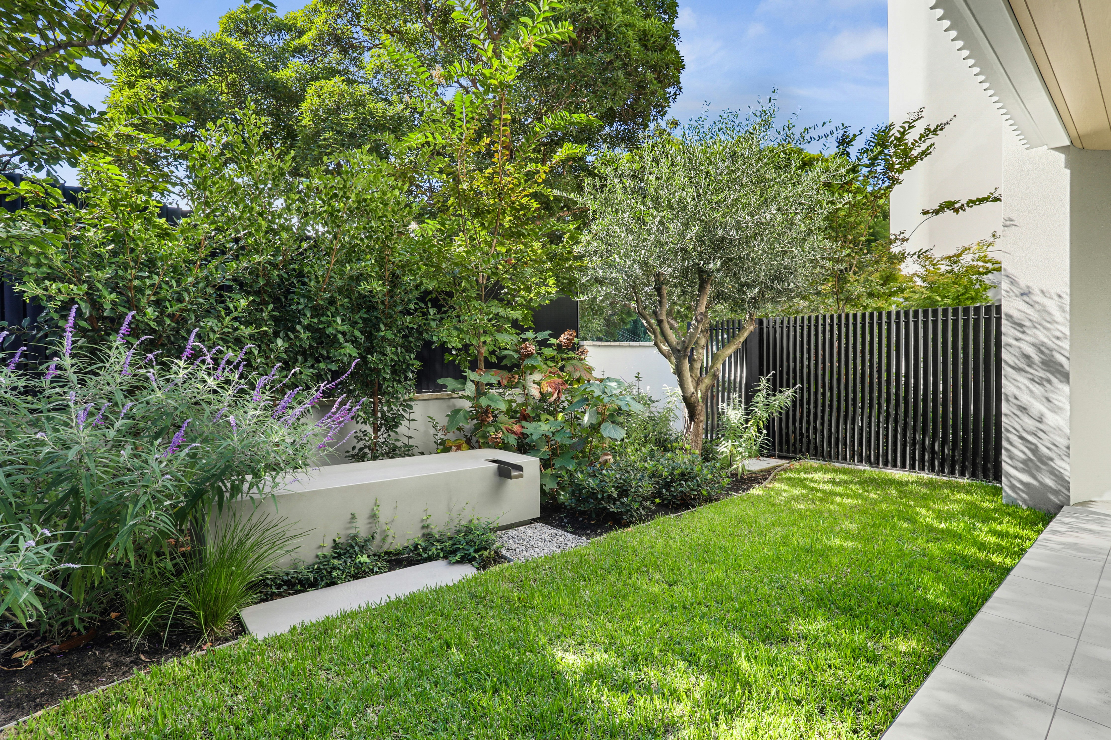 Image of backyard