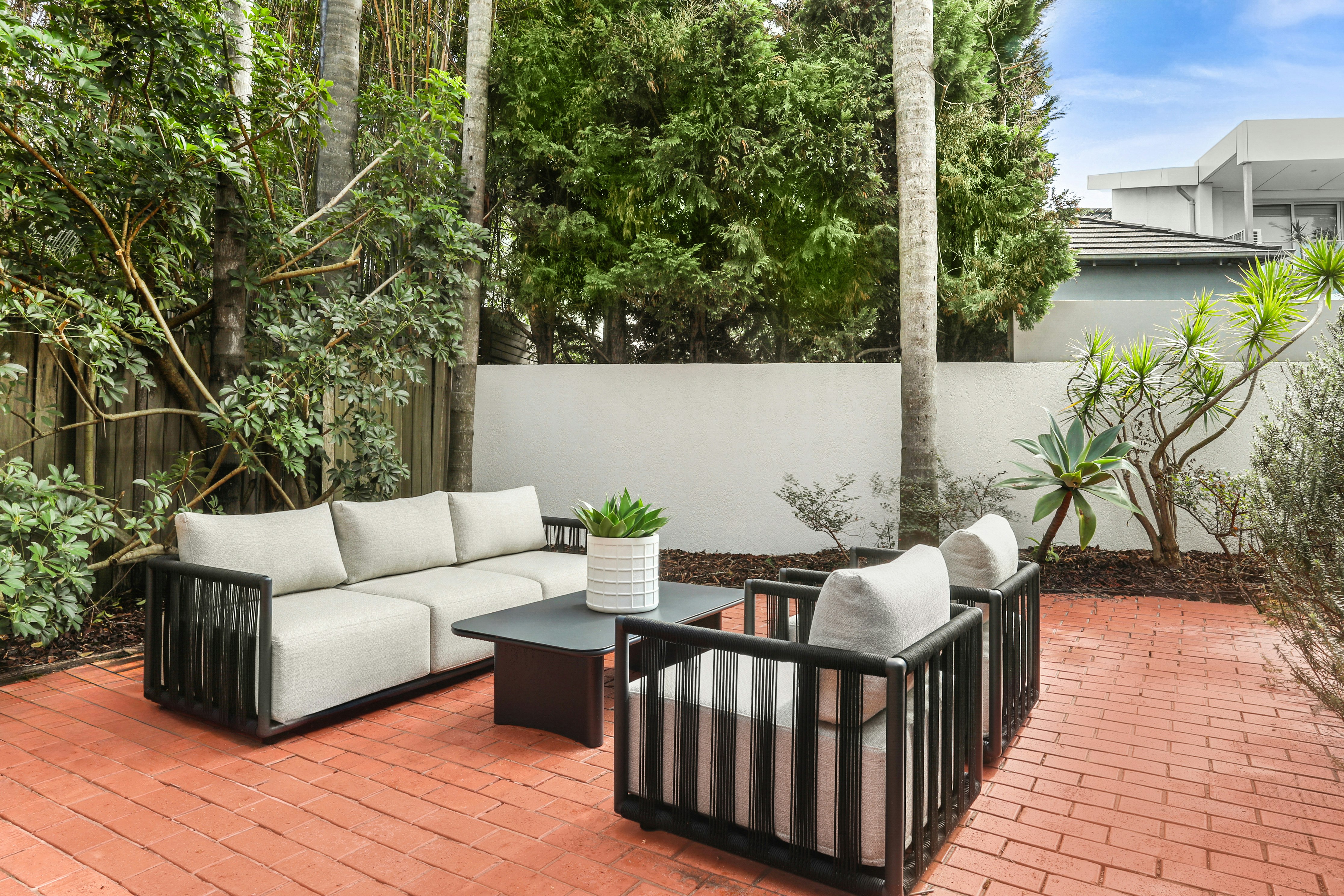 Image of backyard
