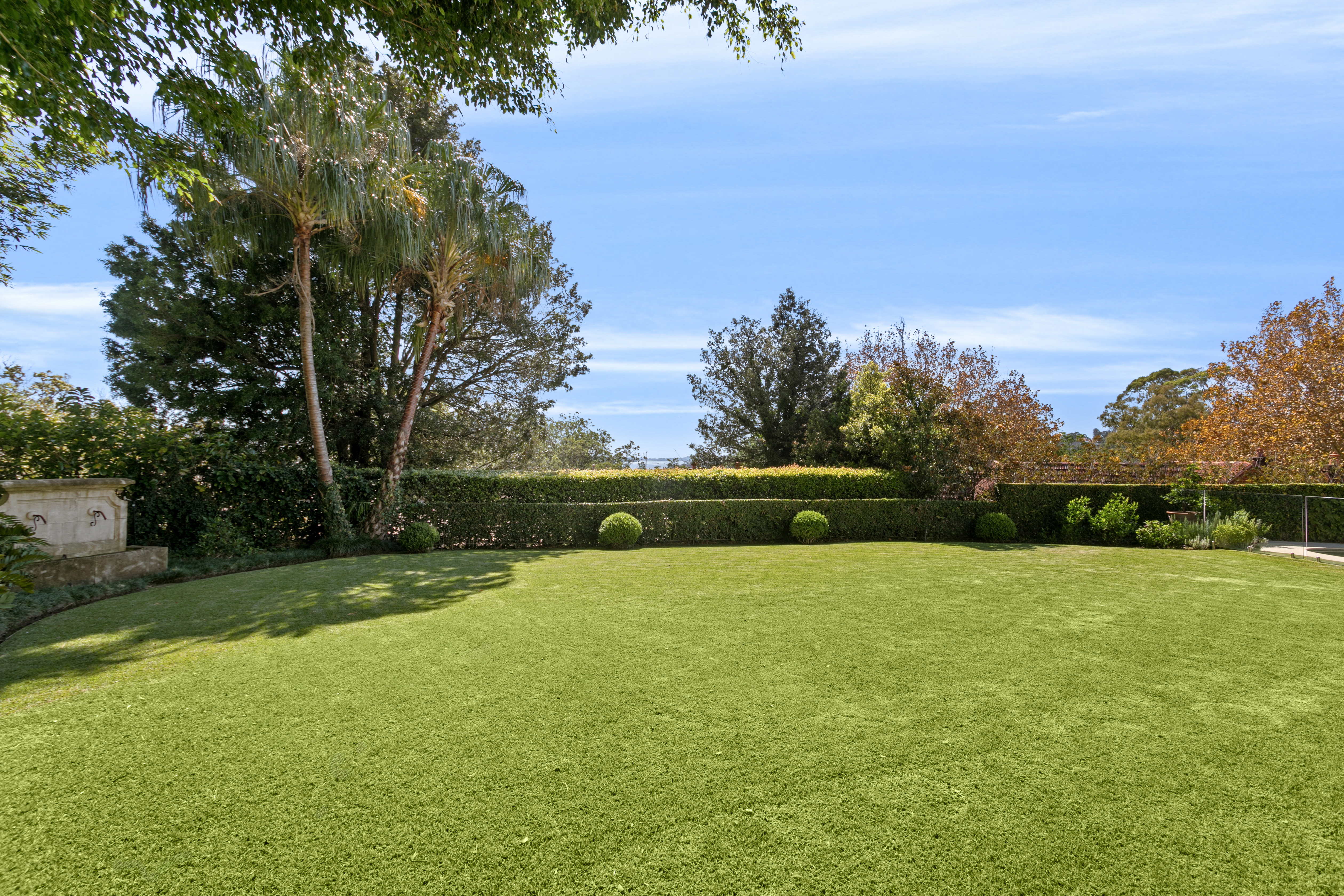 24 Albert Street, Edgecliff - Thumbnail 6