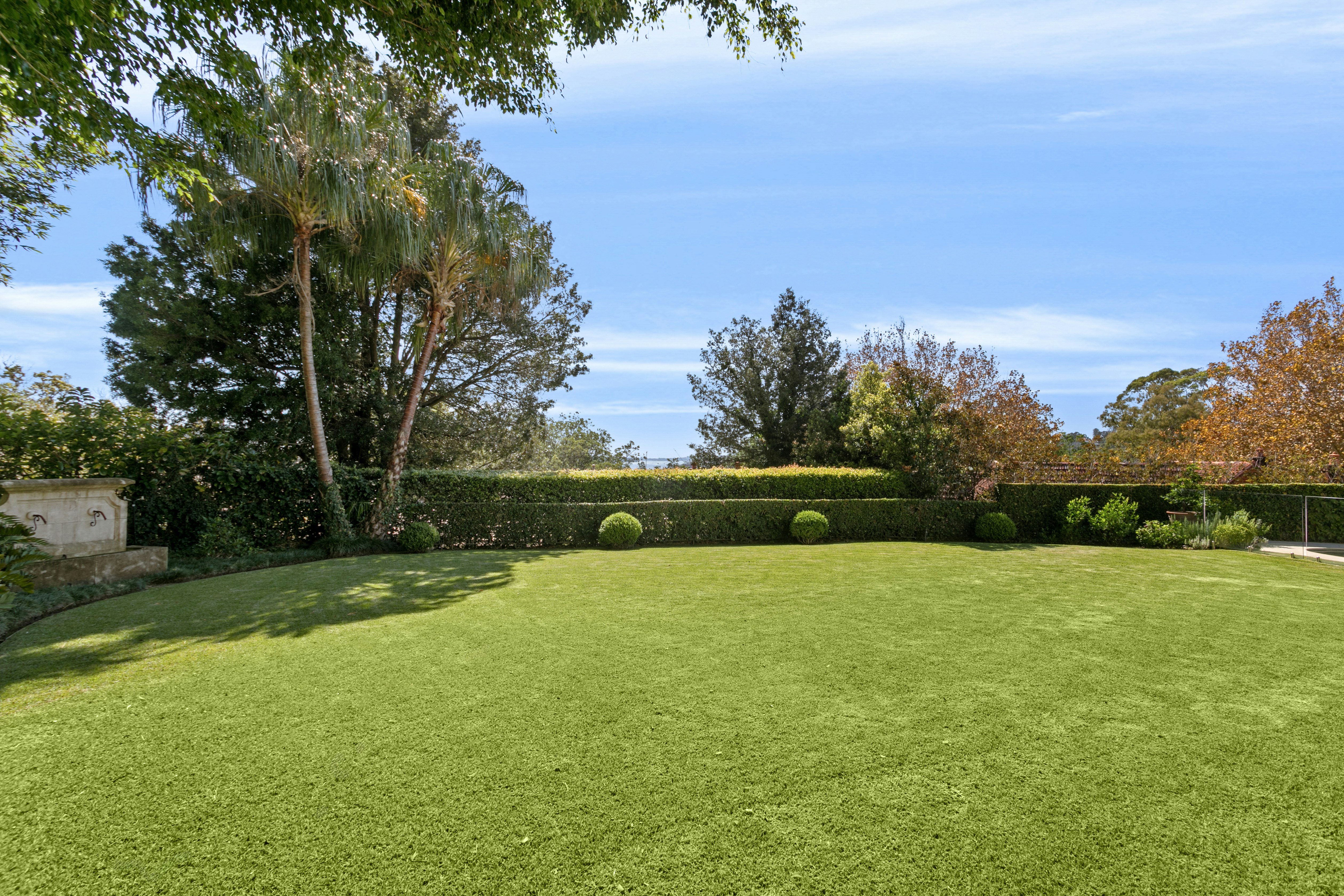 Image of grass