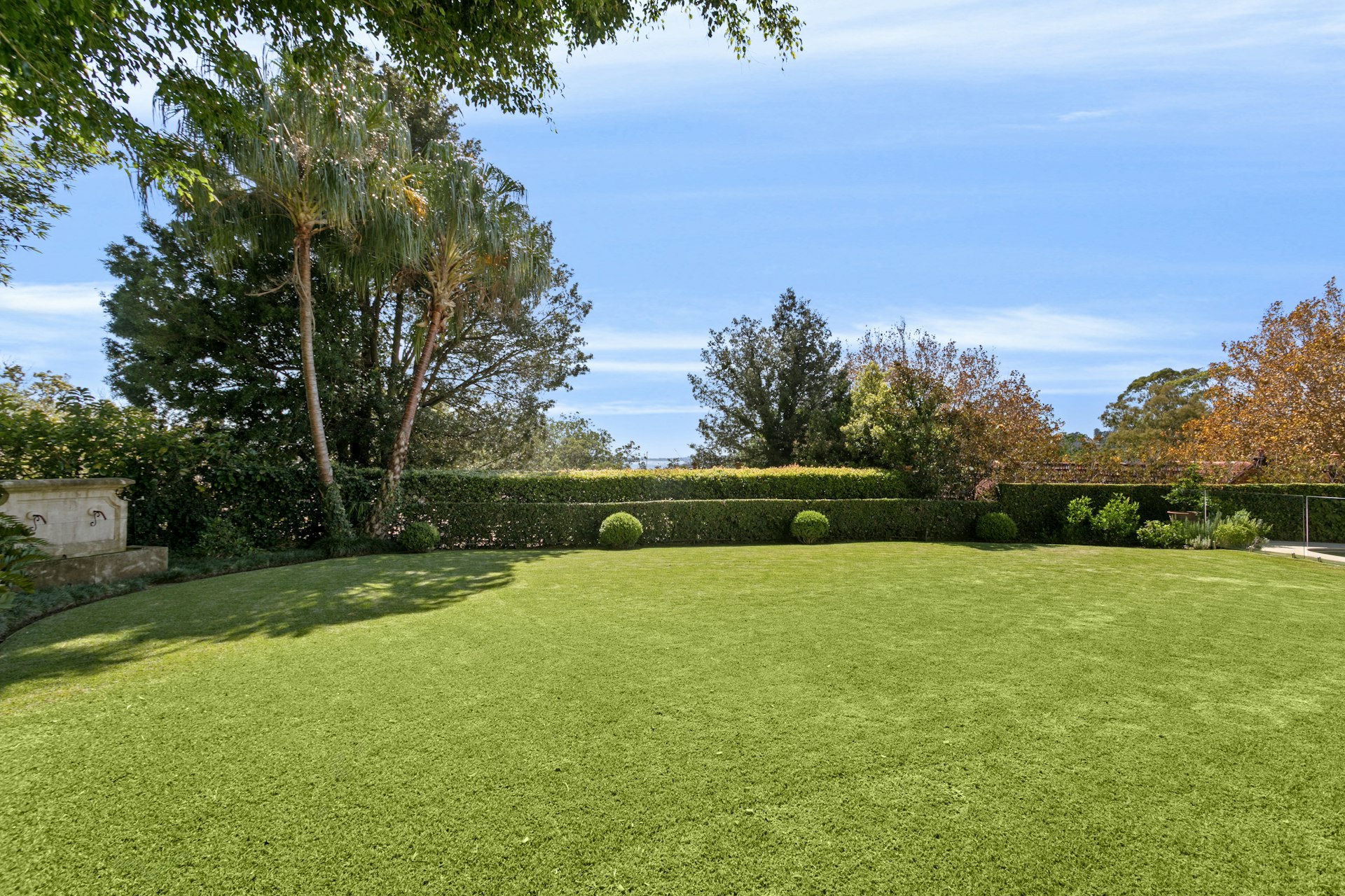grass