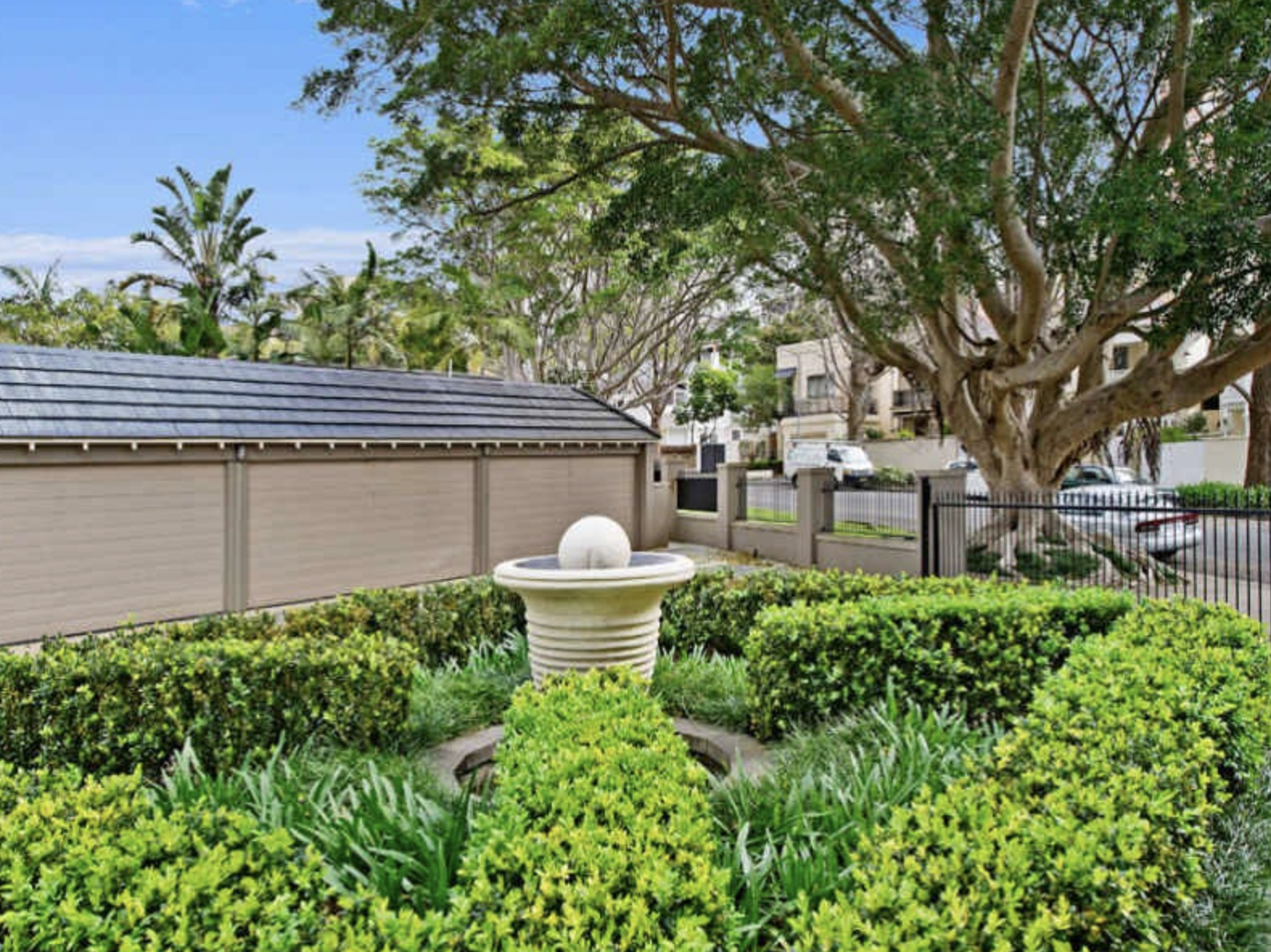 Image of backyard