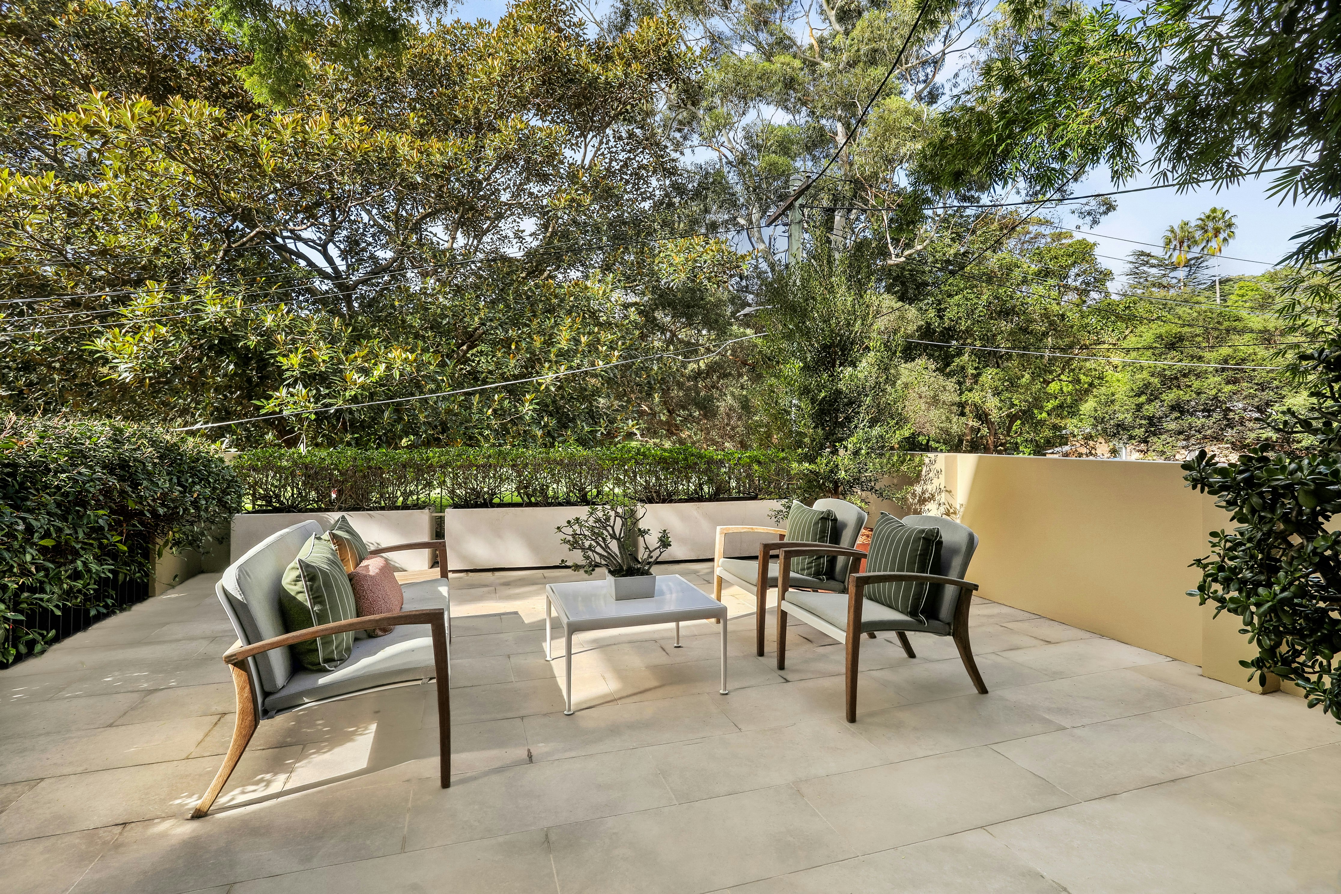 Image of backyard