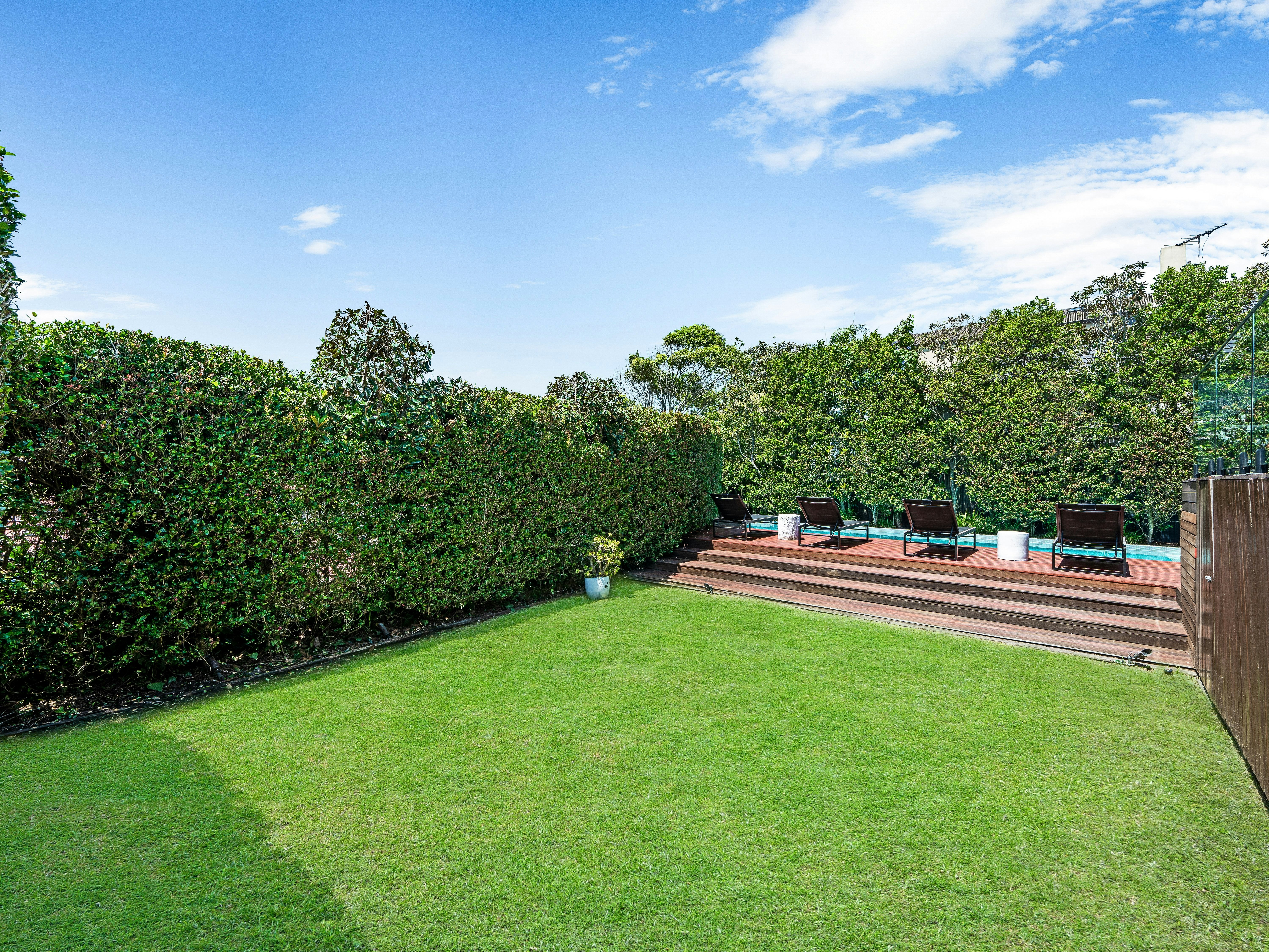 Image of backyard